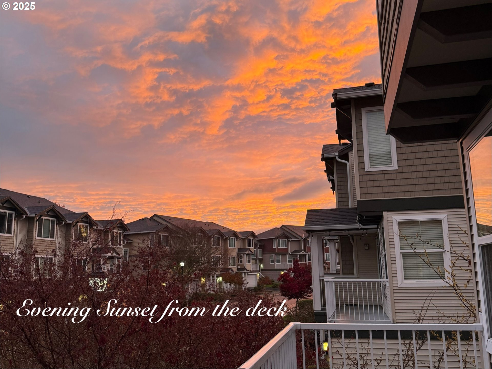 Photo #46: 145341619 Listing: Photo #46