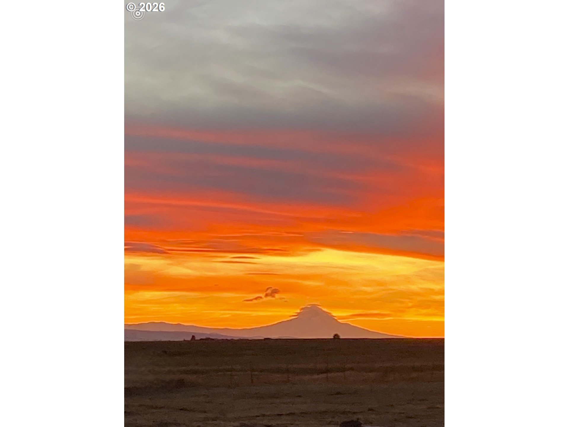 Search Homes for Sale