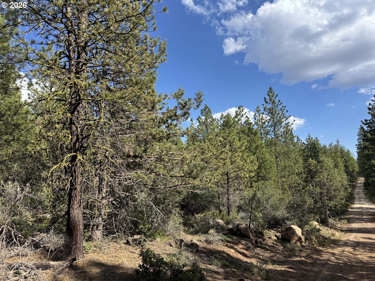 Search Homes for Sale