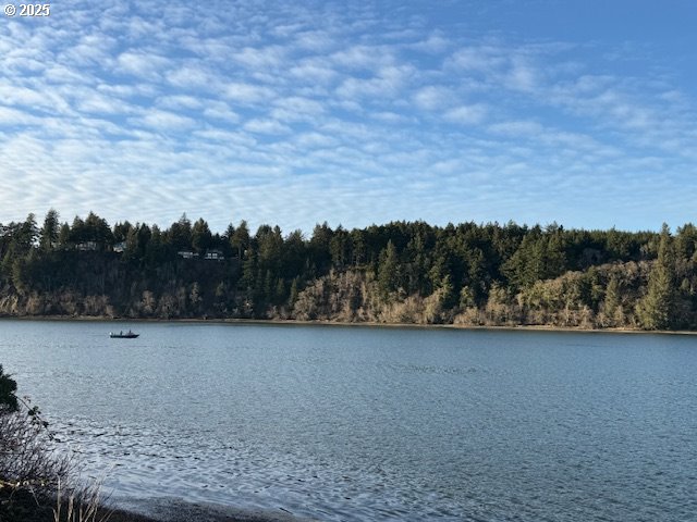 1120 S CRESTLINE DR, Waldport, OR, 97394