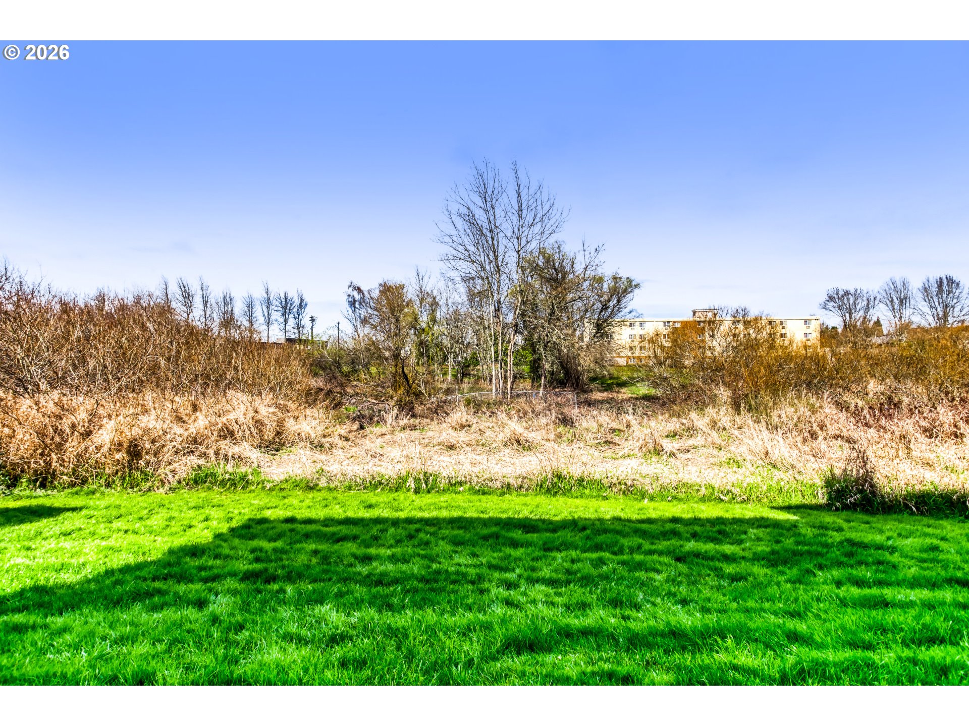 Photo #5: 147440559 Listing: Photo #5