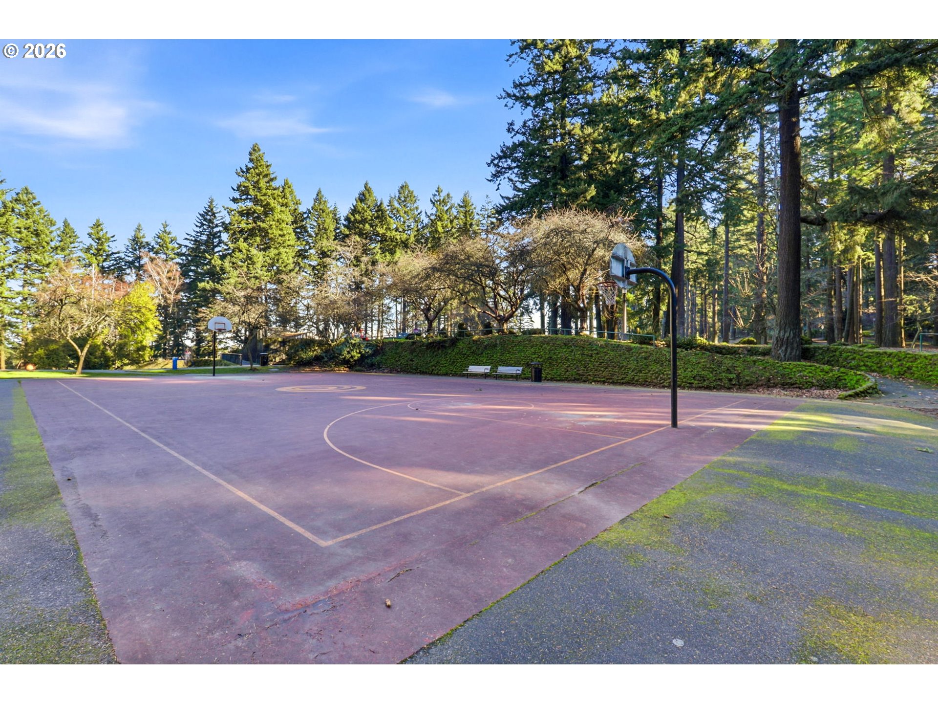 Photo #40: 147990417 Listing: Photo #40