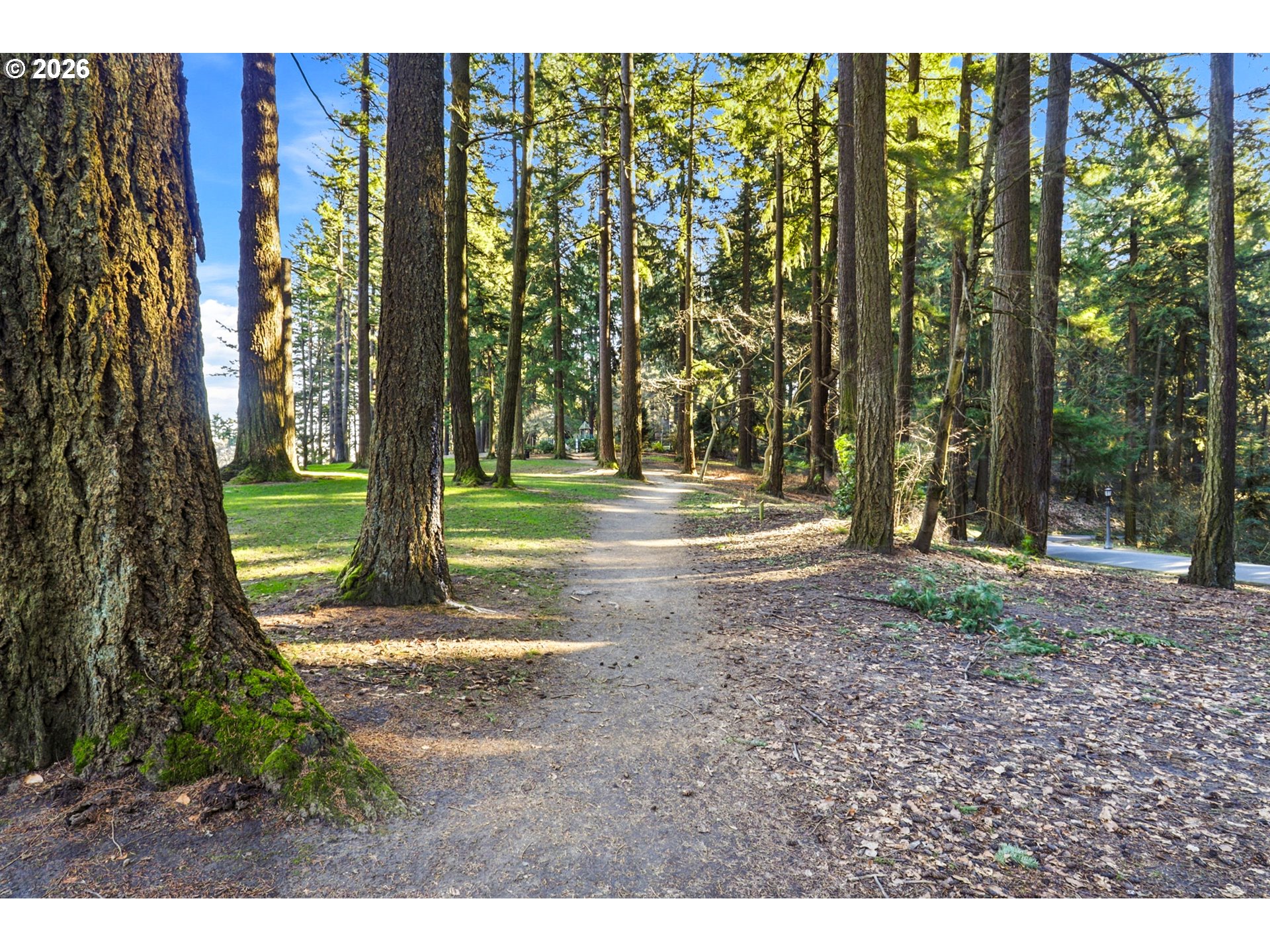 Photo #41: 147990417 Listing: Photo #41