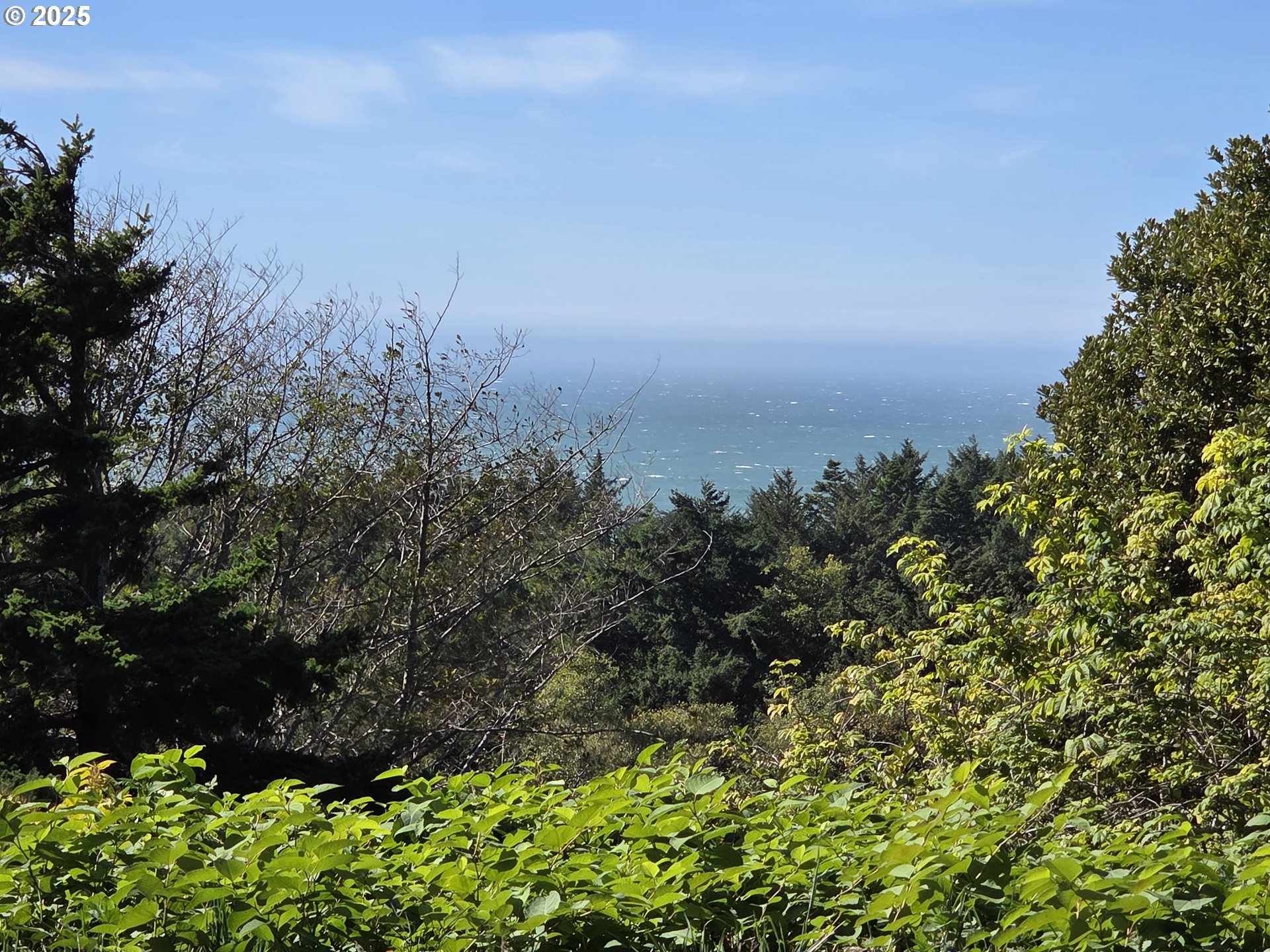 Hillside Acres RD UNIT 124, Gold Beach, OR, 97444