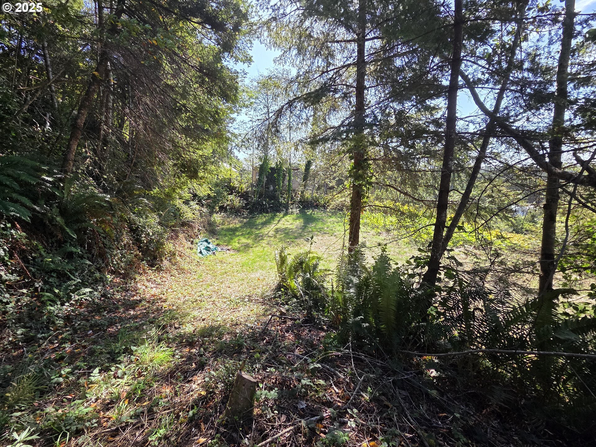 Hillside Acres RD UNIT 124, Gold Beach, OR, 97444