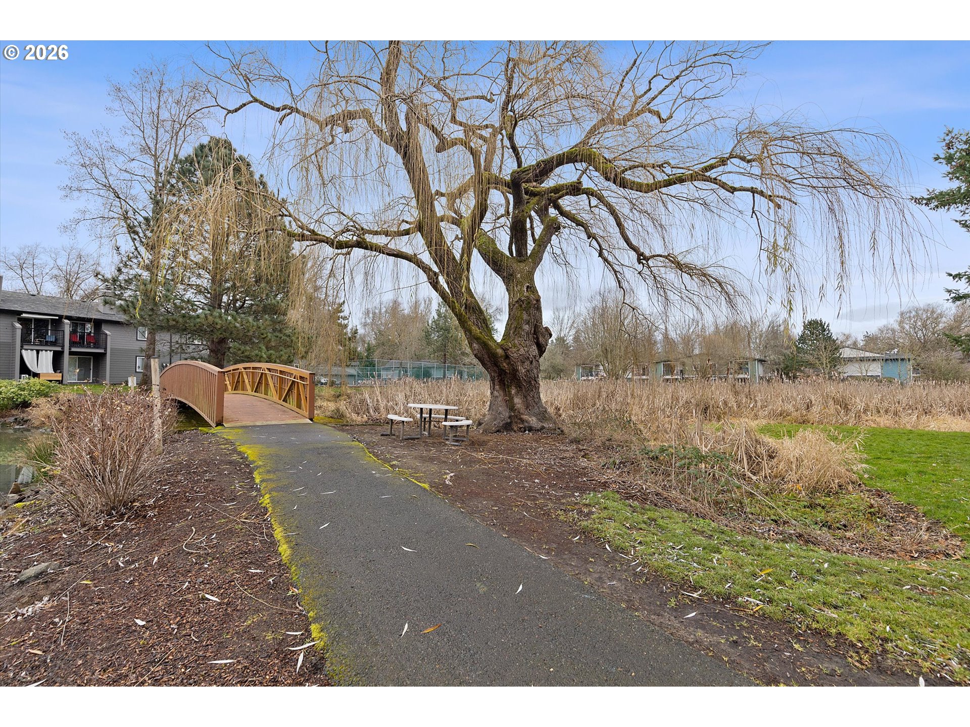 Photo #38: 149776017 Listing: Photo #38