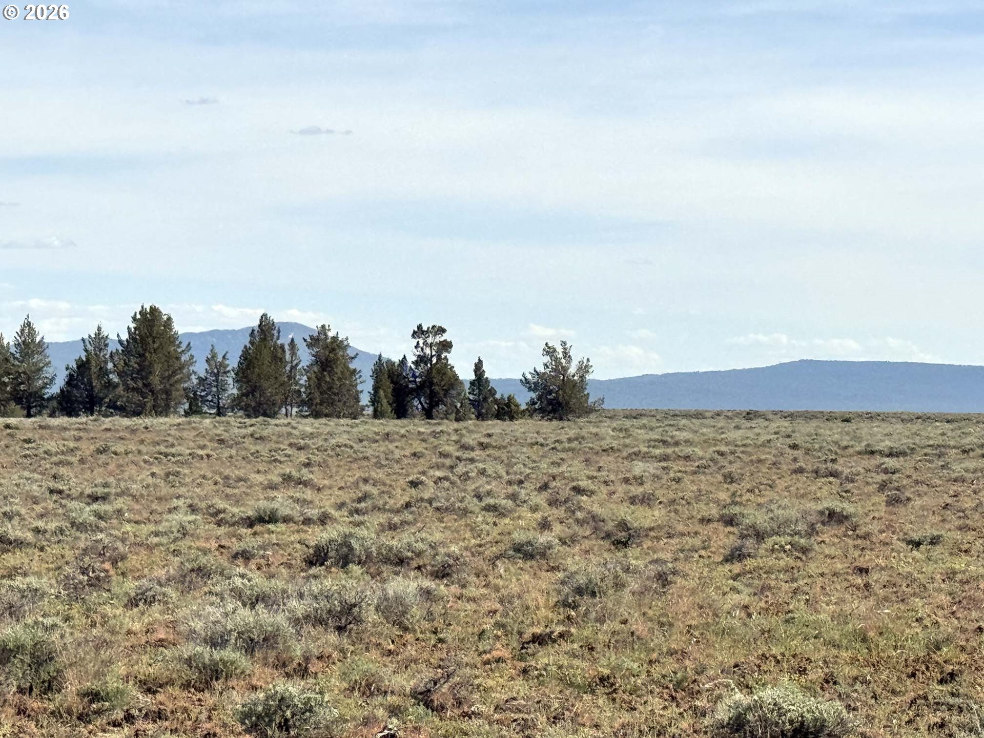 Search Homes for Sale