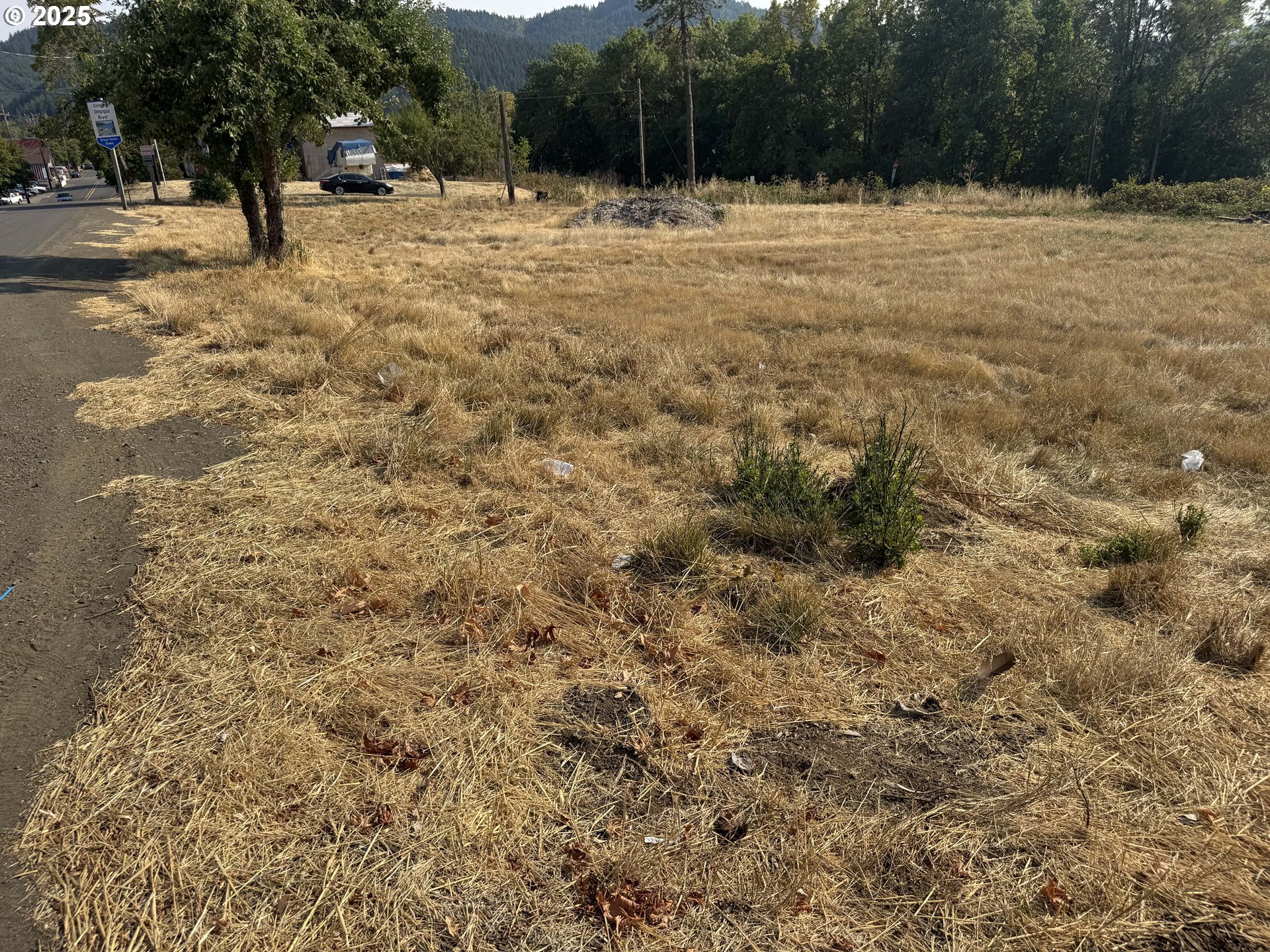 411 NE 1ST, Oakland, OR, 97462