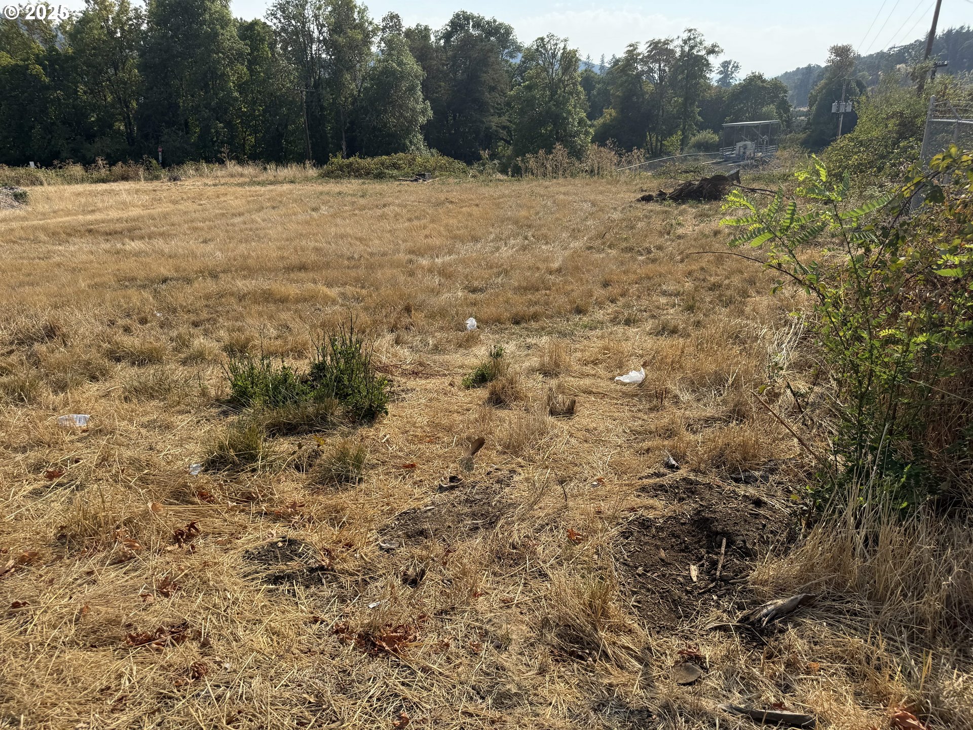 411 NE 1ST, Oakland, OR, 97462