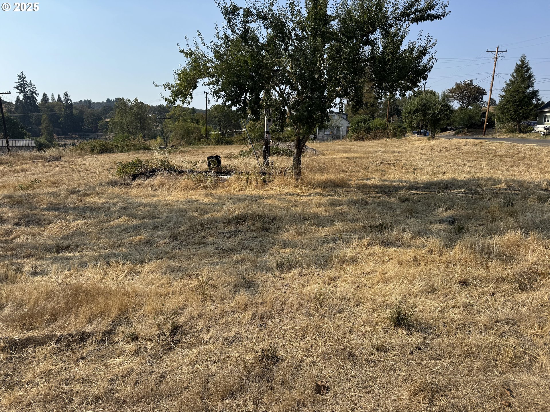 411 NE 1ST, Oakland, OR, 97462