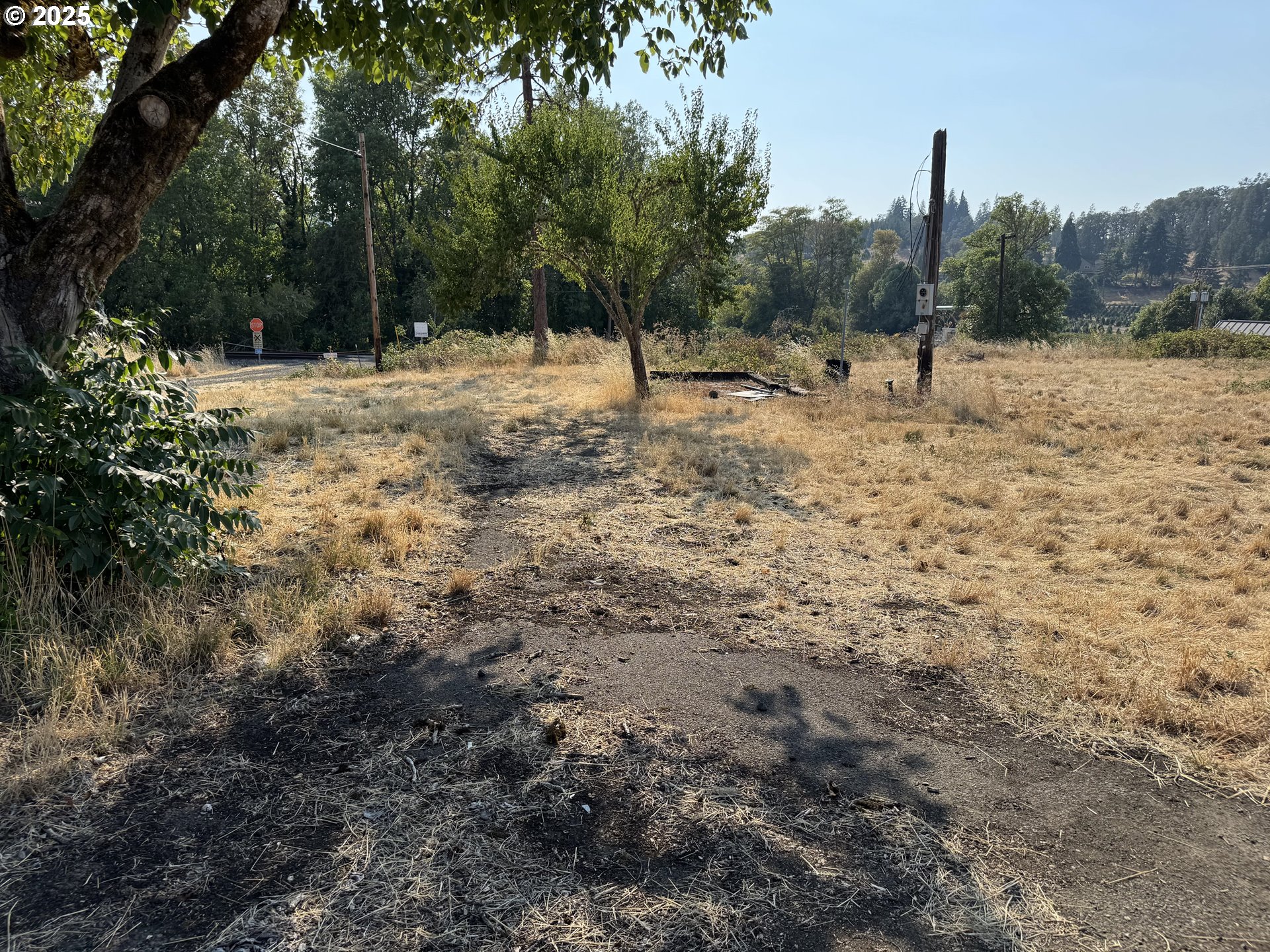 411 NE 1ST, Oakland, OR, 97462