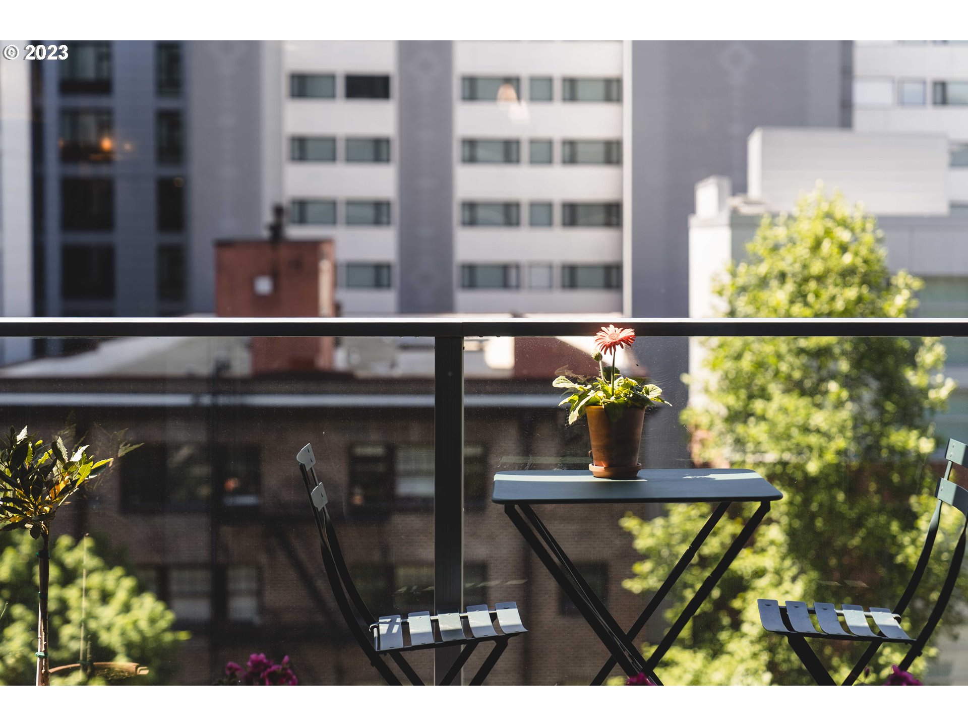 Photo #7: 153892449 Listing: Photo #7