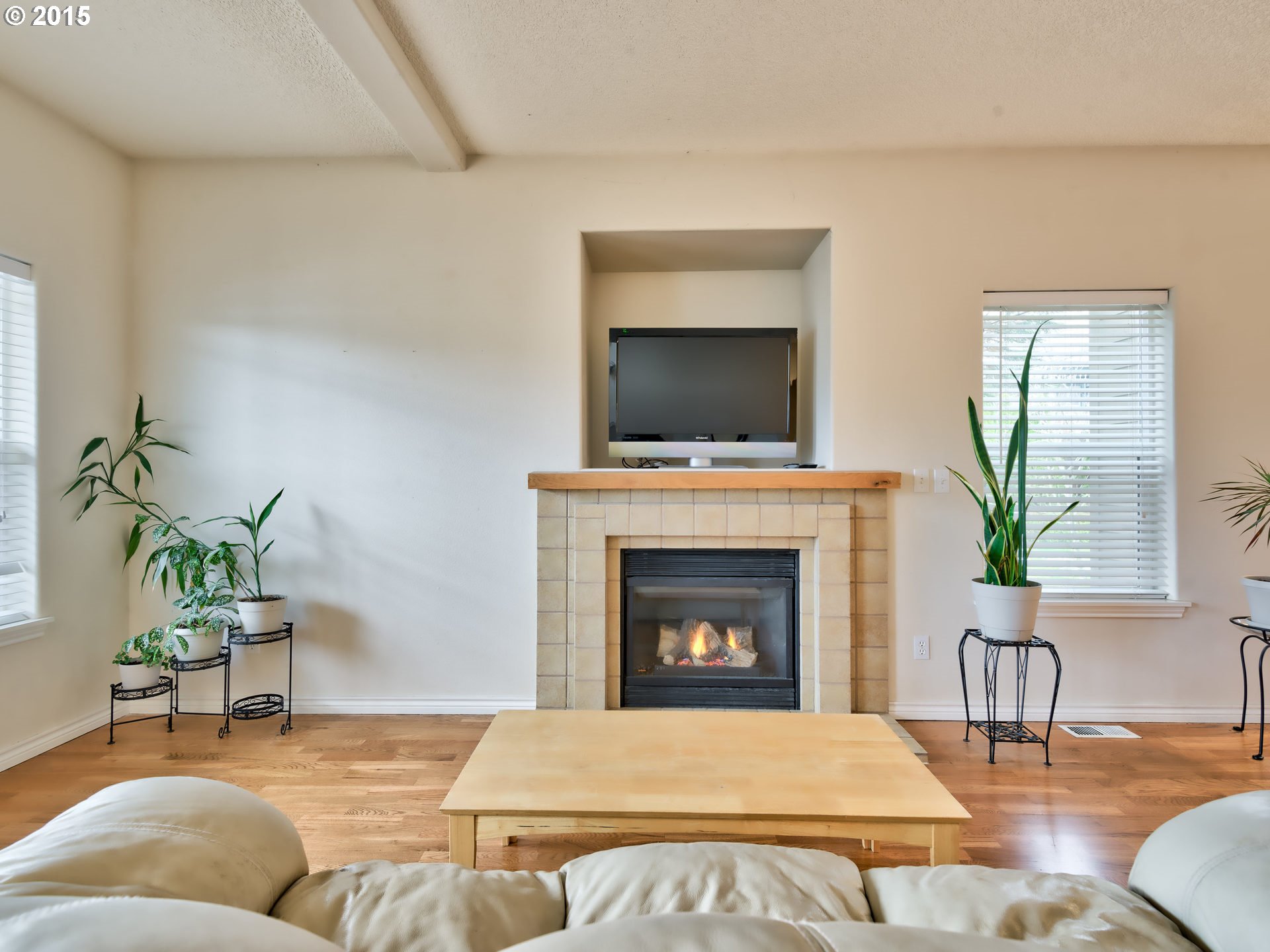 Fireplace Gas