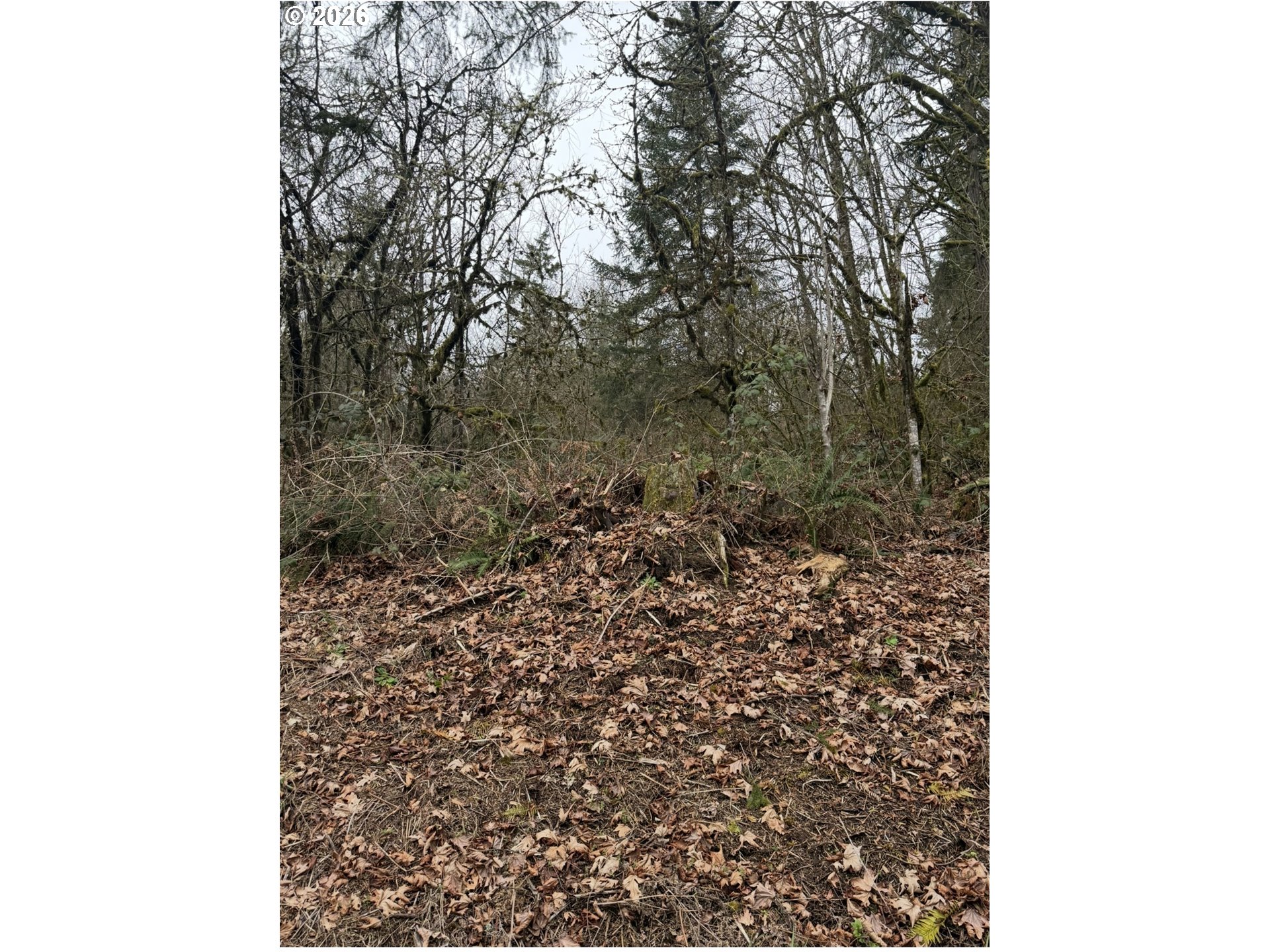 Search Homes for Sale