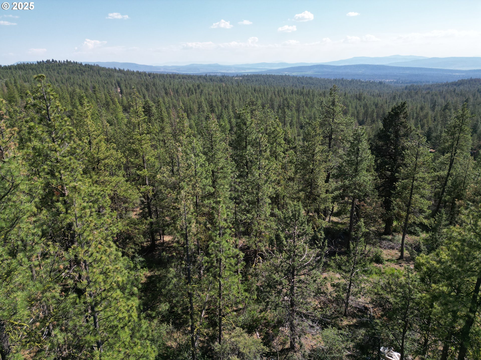 Sandpiper DR UNIT 2300, Beatty, OR, 97621