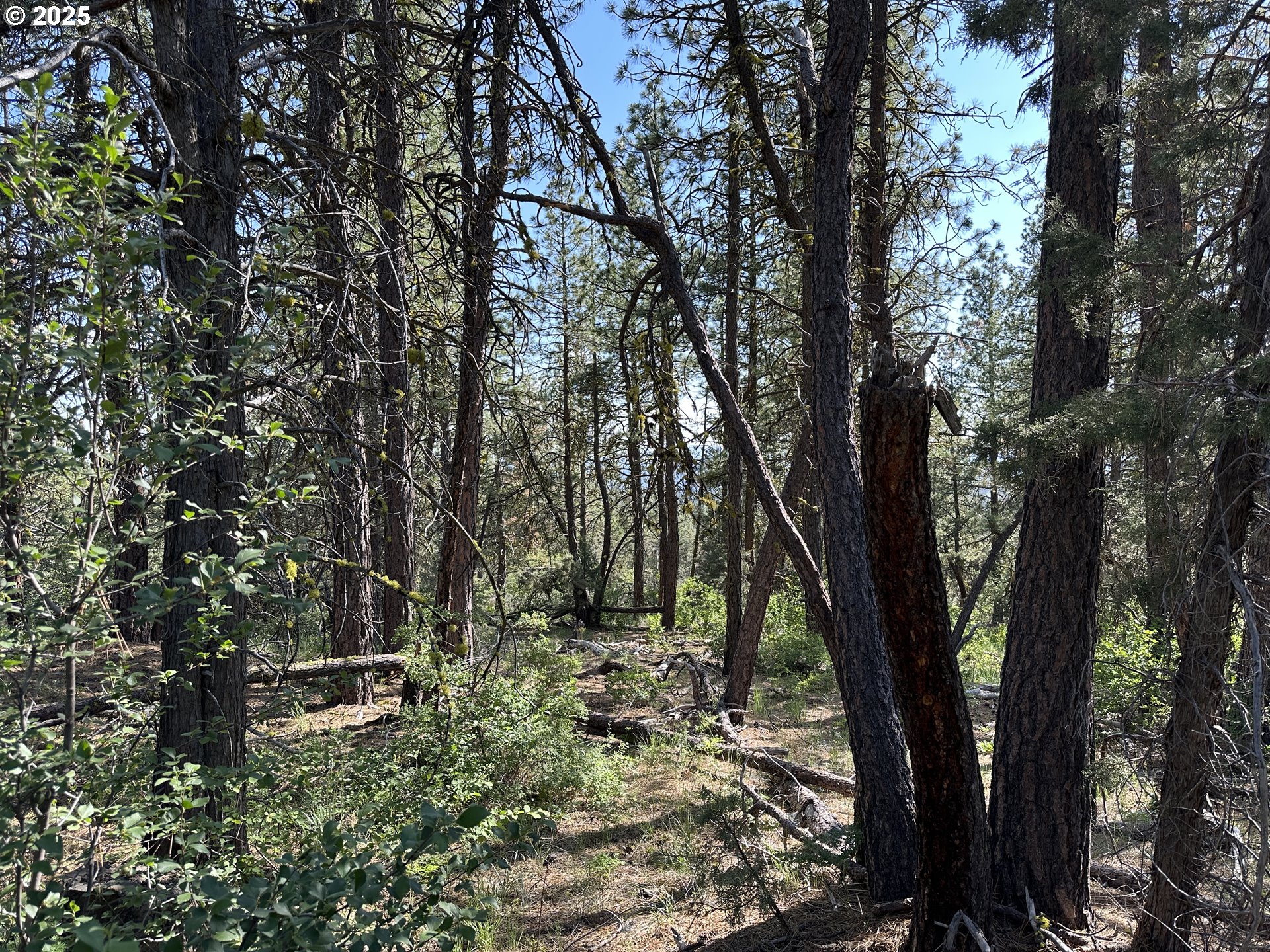 Sandpiper DR UNIT 2300, Beatty, OR, 97621