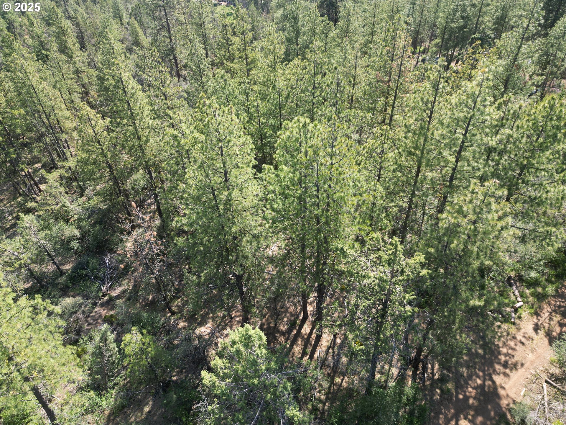 Sandpiper DR UNIT 2300, Beatty, OR, 97621