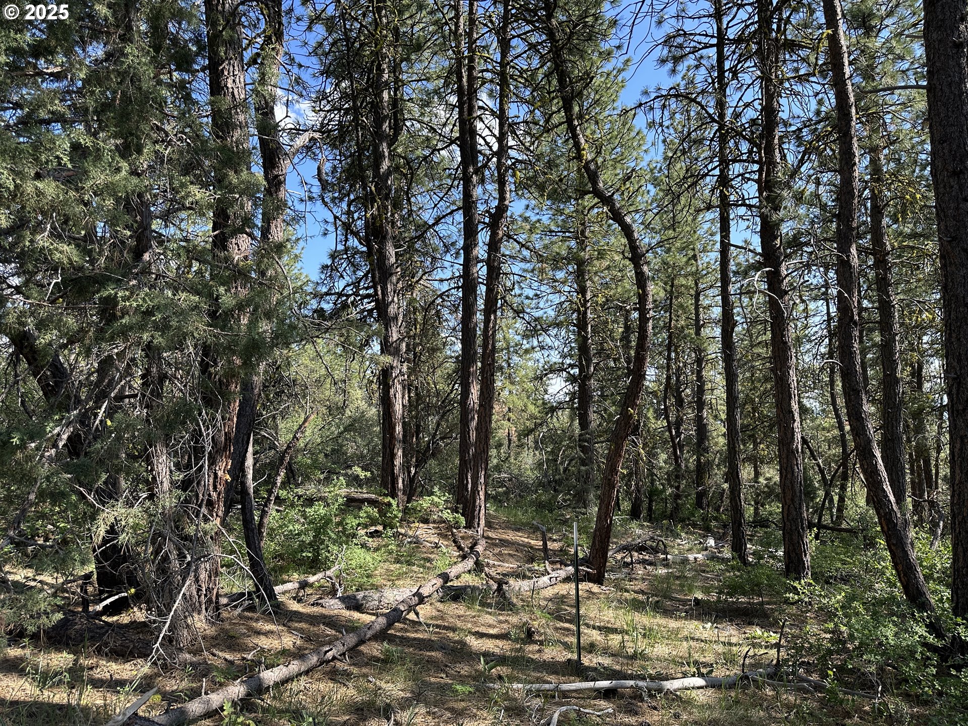 Sandpiper DR UNIT 2300, Beatty, OR, 97621