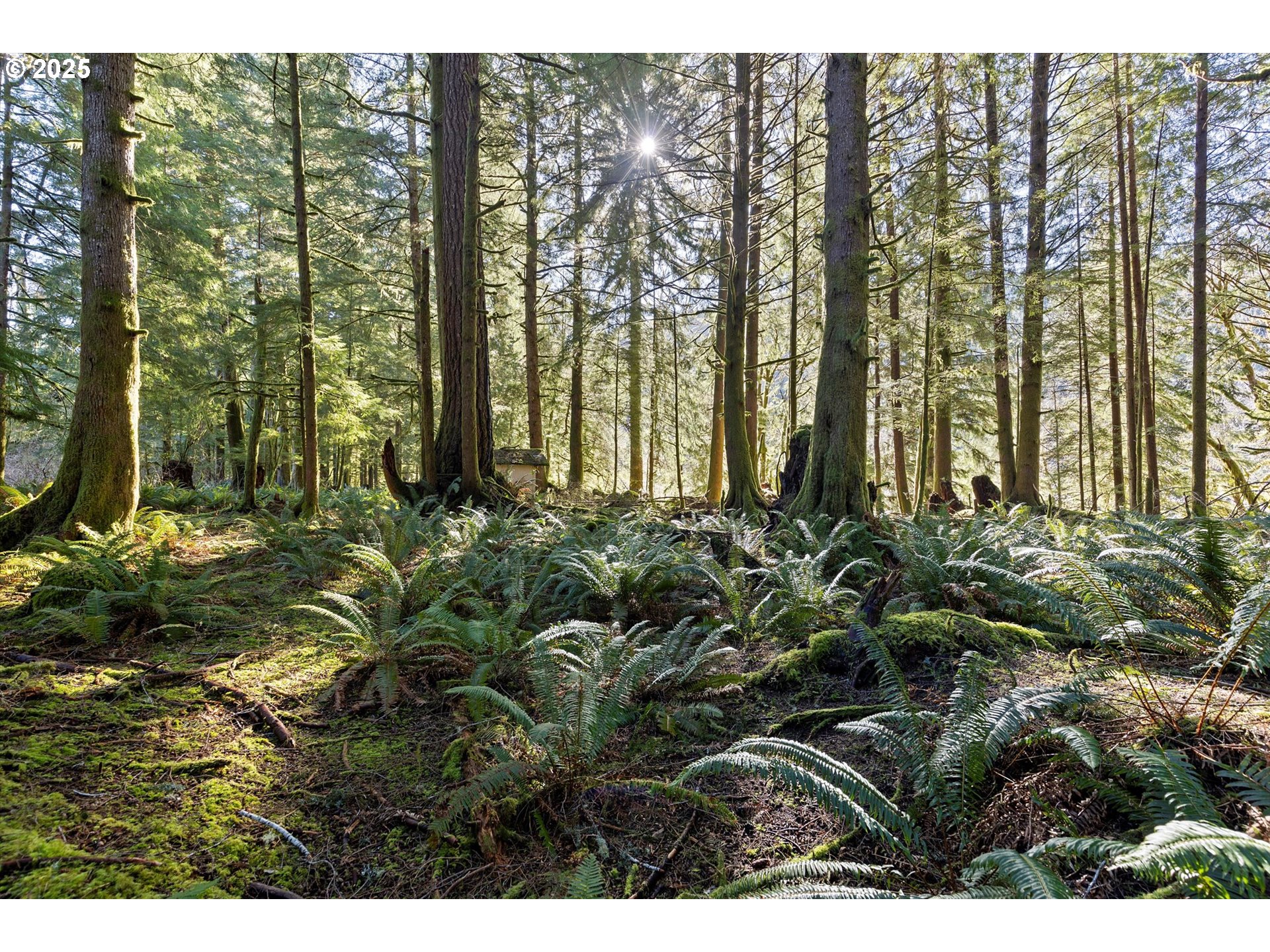 Search Homes for Sale