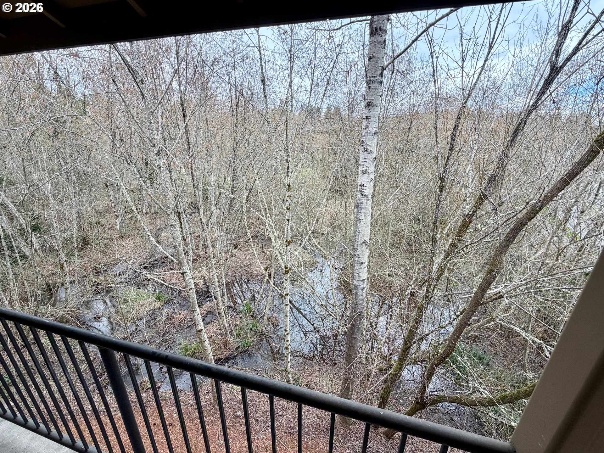 Photo #28: 155043607 Listing: Photo #28