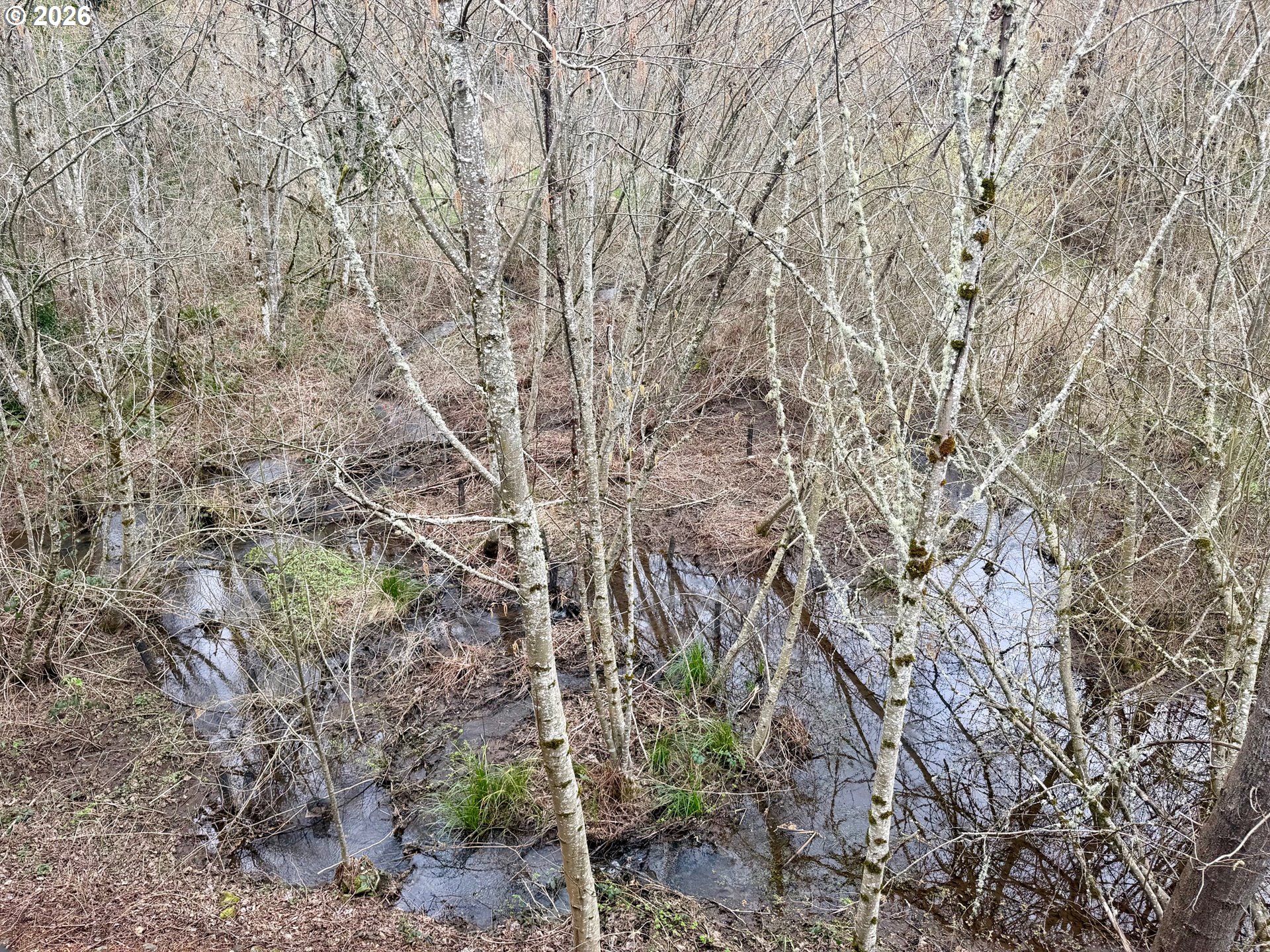 Photo #31: 155043607 Listing: Photo #31