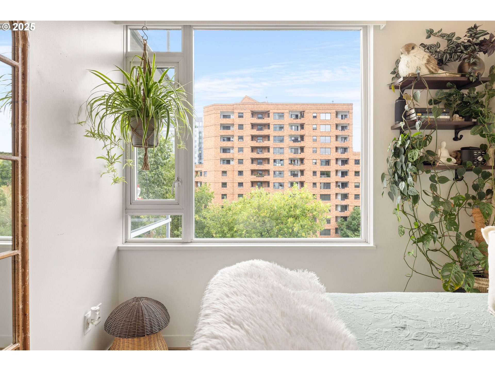 Photo #14: 156454804 Listing: Photo #14