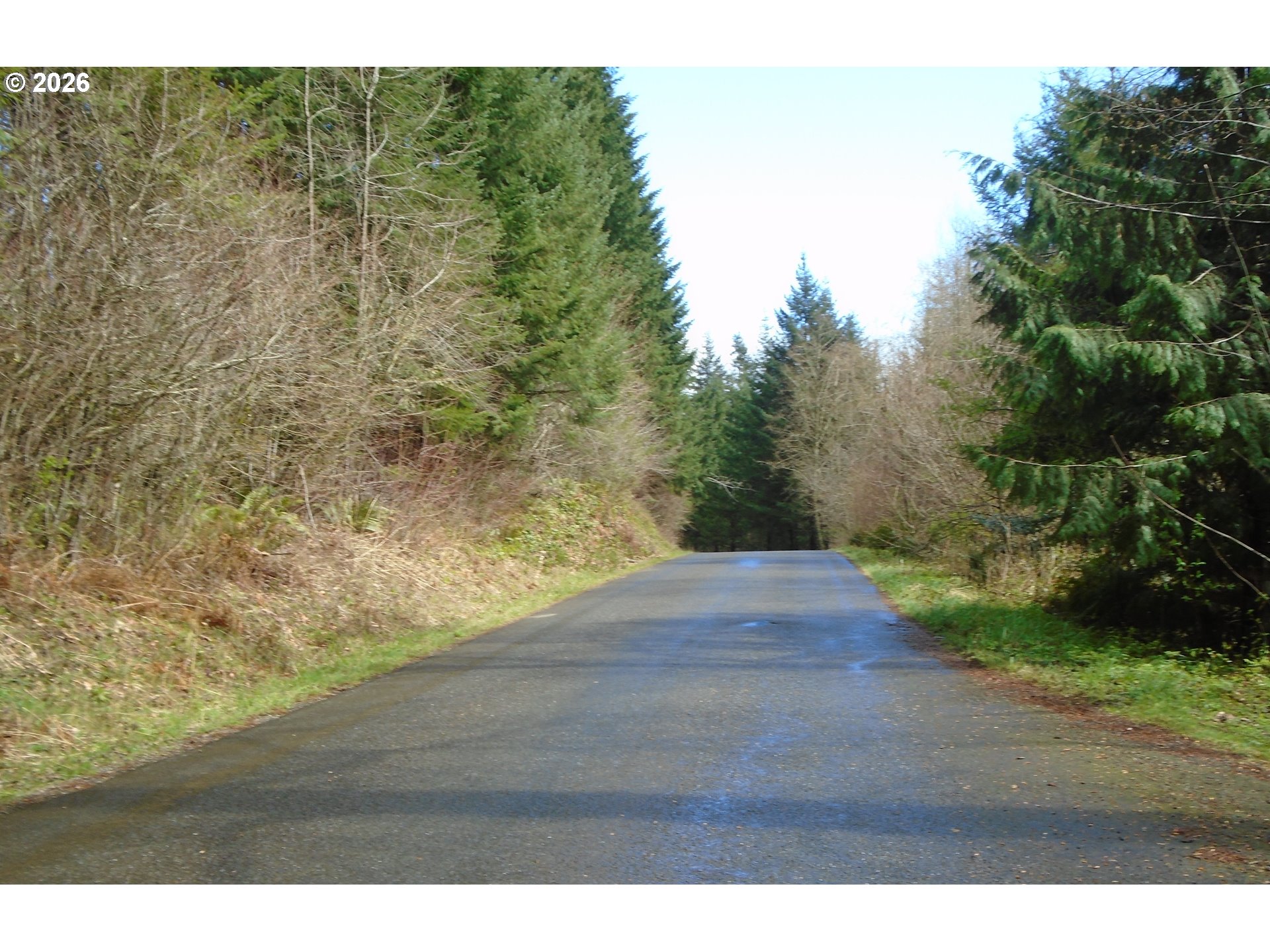 20817 NE YACOLT MOUNTAIN RD, Yacolt, WA, 98675