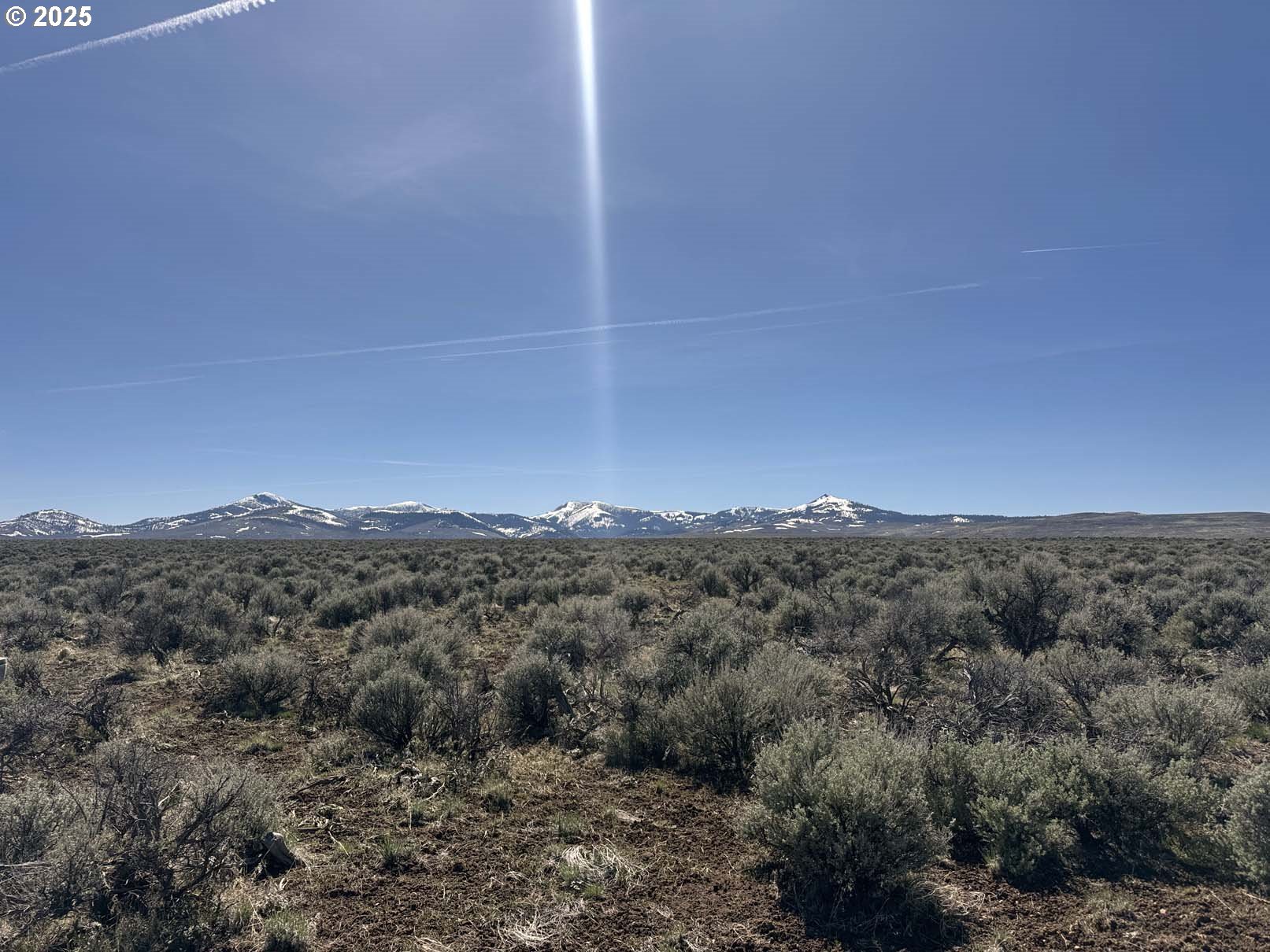 Search Homes for Sale