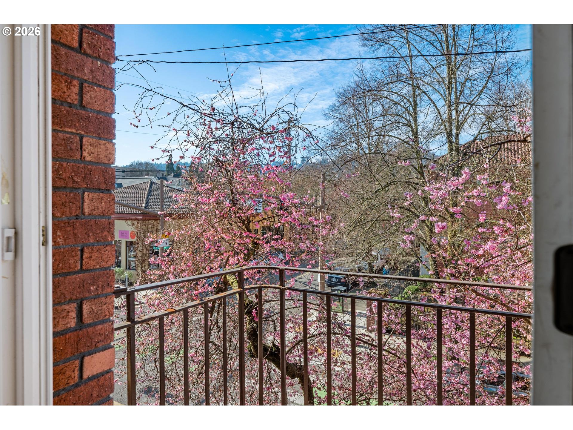 Photo #21: 157740696 Listing: Photo #21