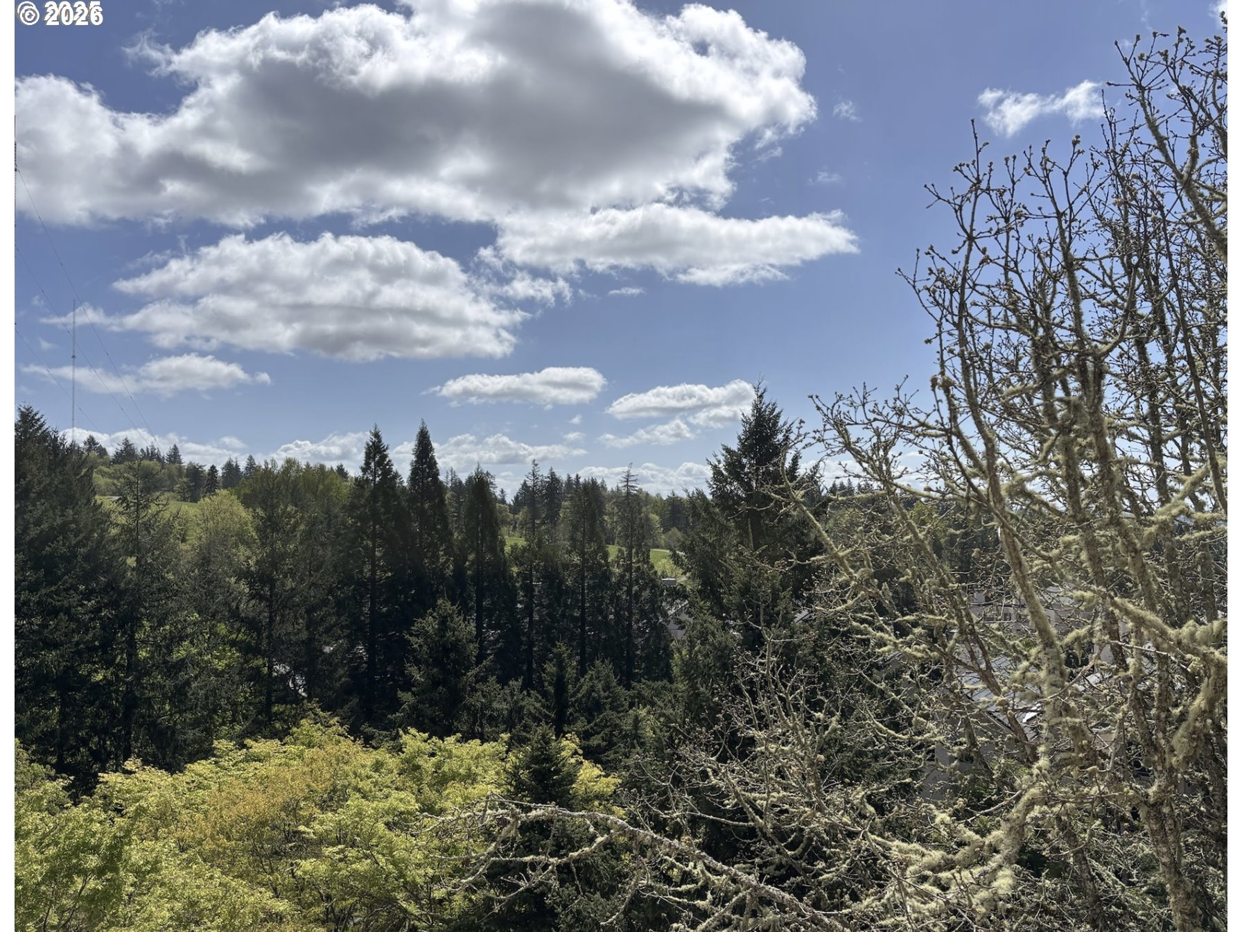 Photo #26: 157971869 Listing: Photo #26