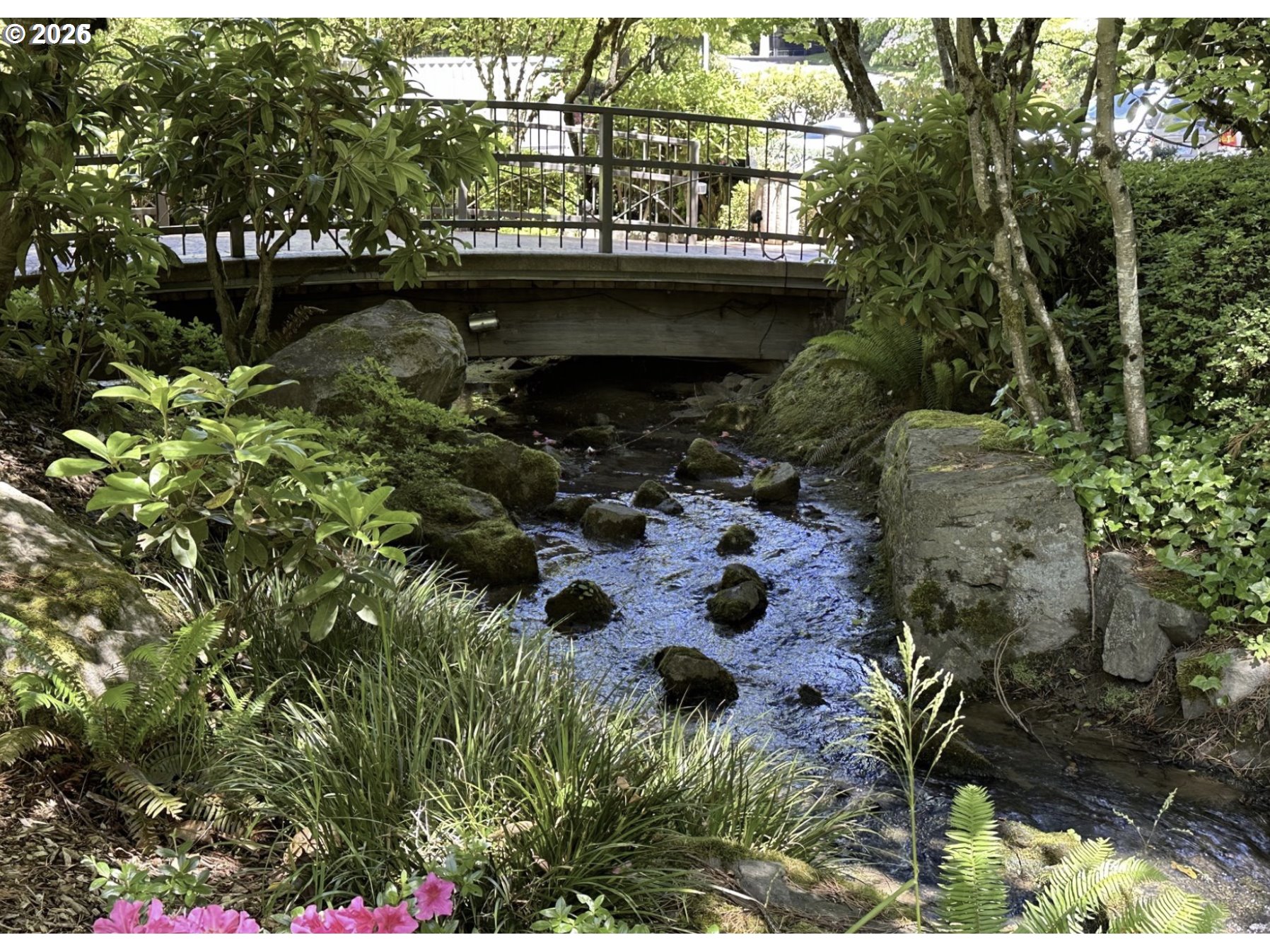 Photo #29: 157971869 Listing: Photo #29