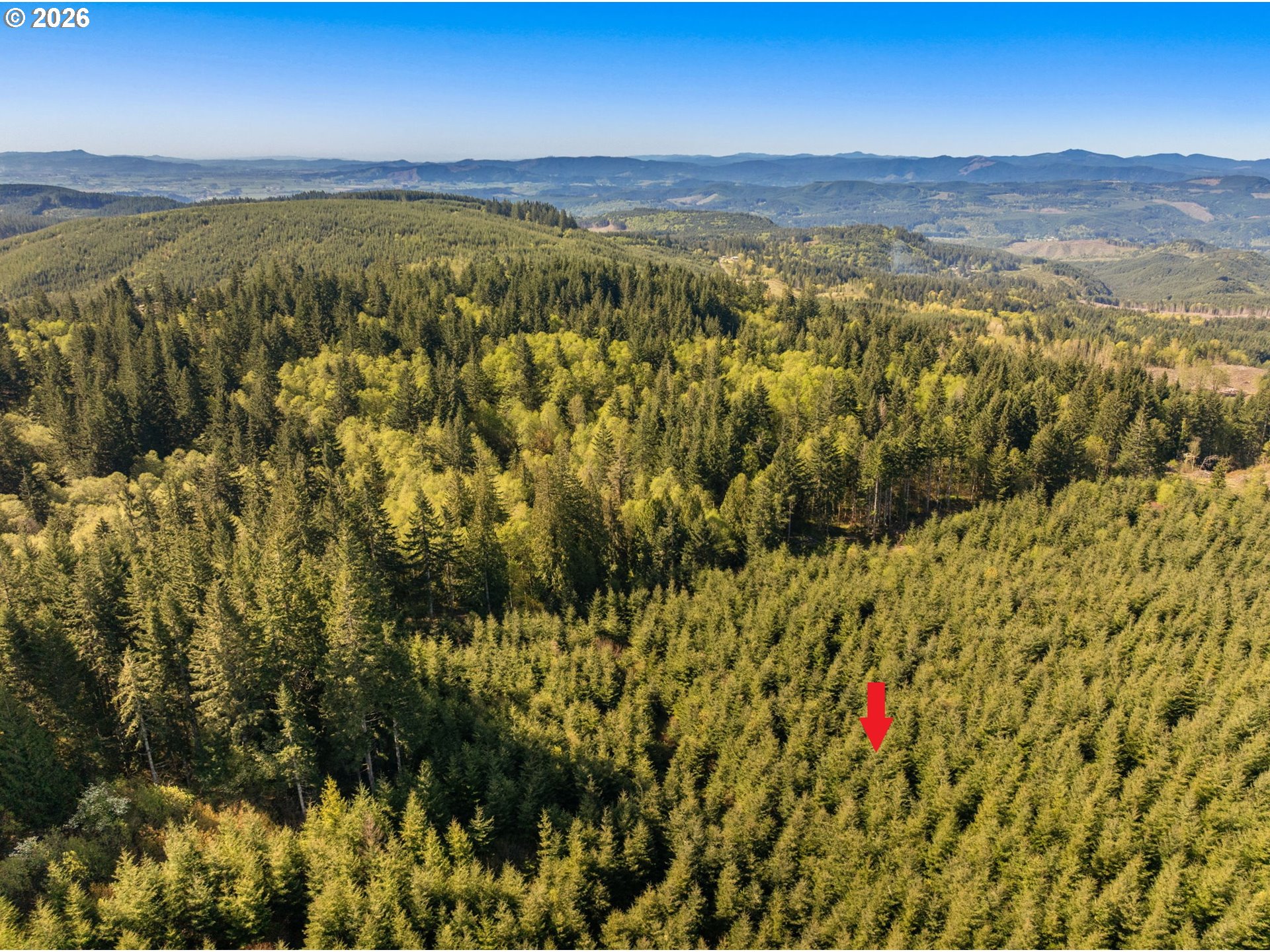 Search Homes for Sale