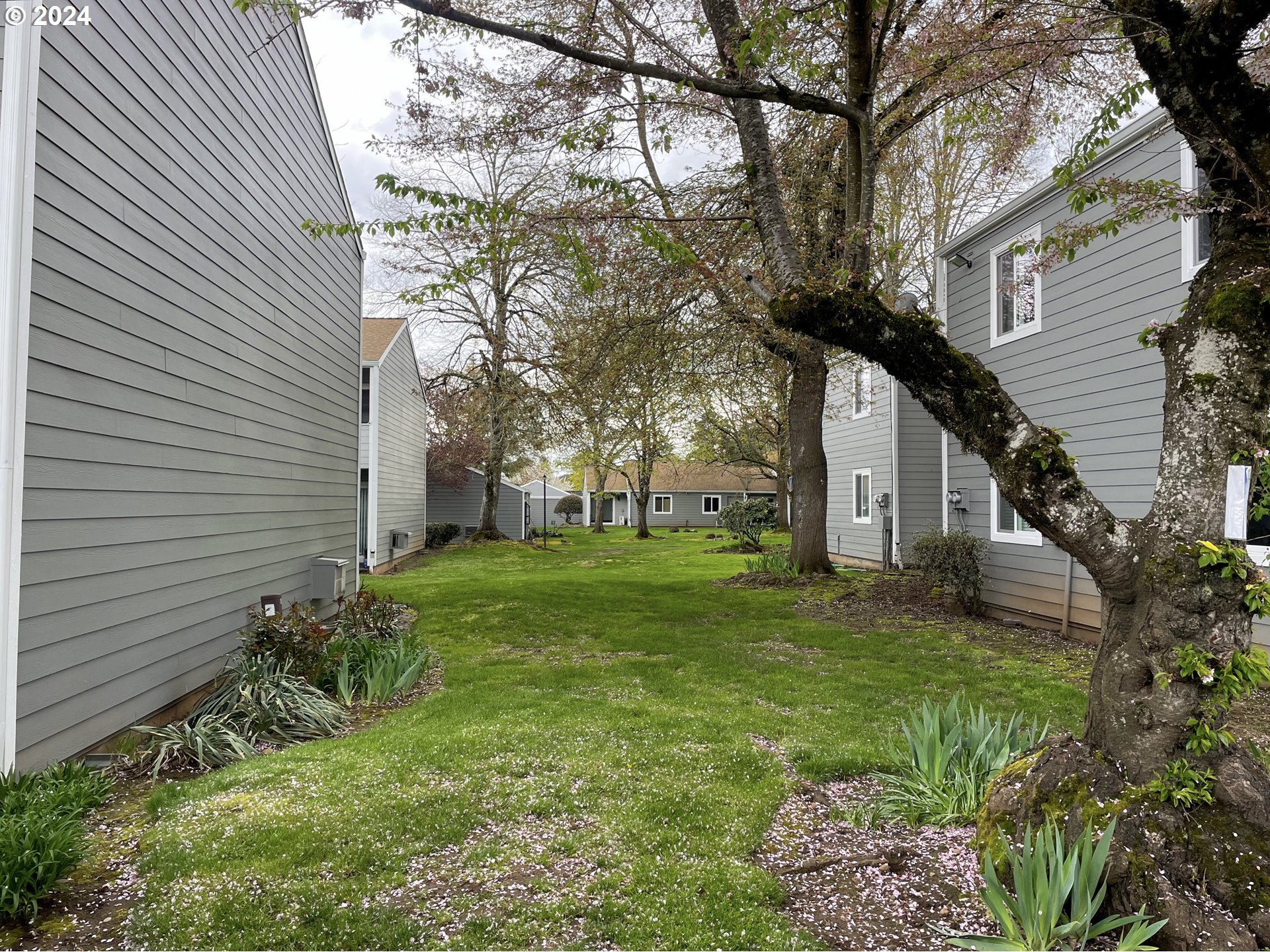 Photo #16: 158791064 Listing: Photo #16