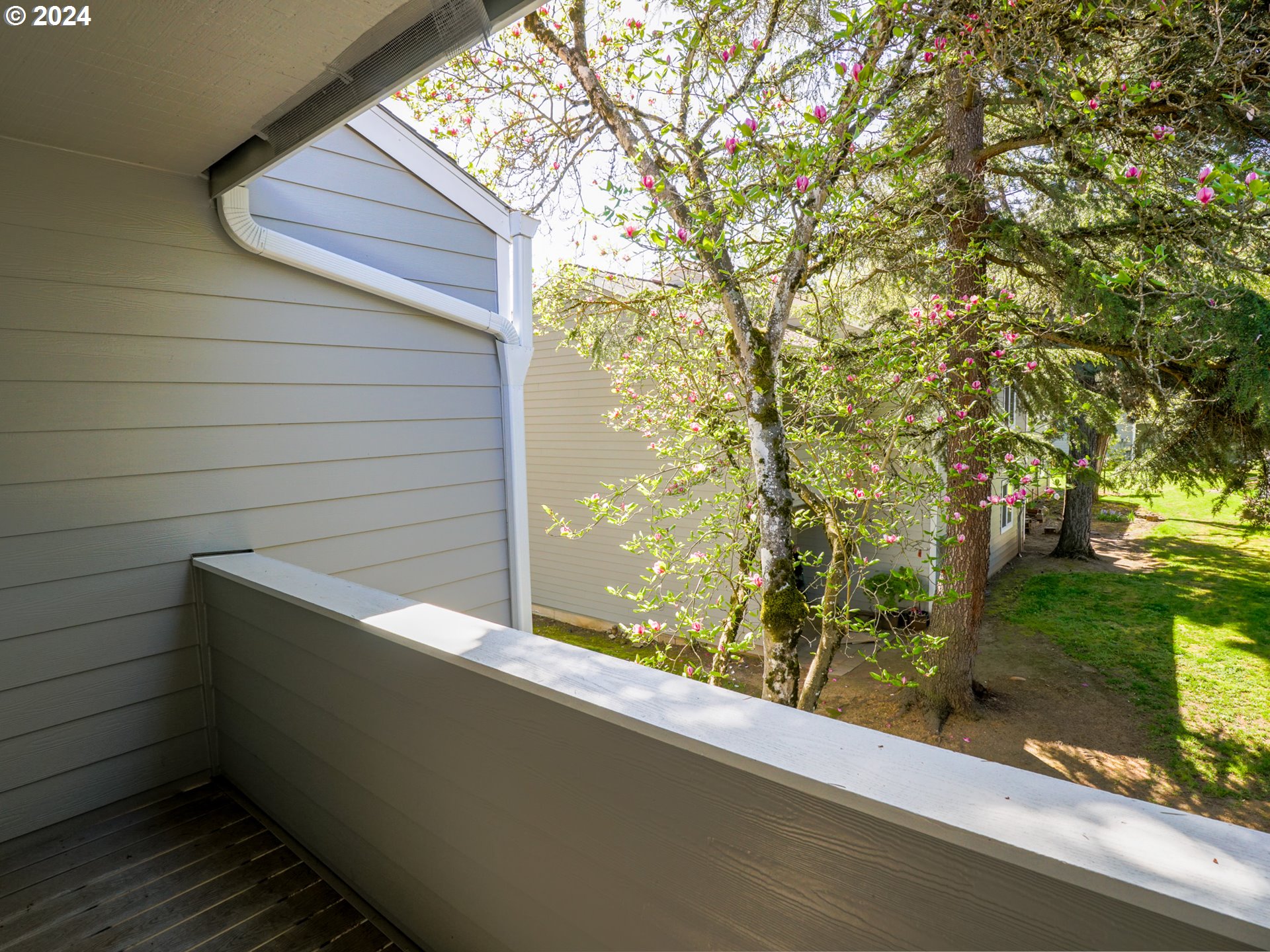 Photo #17: 158791064 Listing: Photo #17