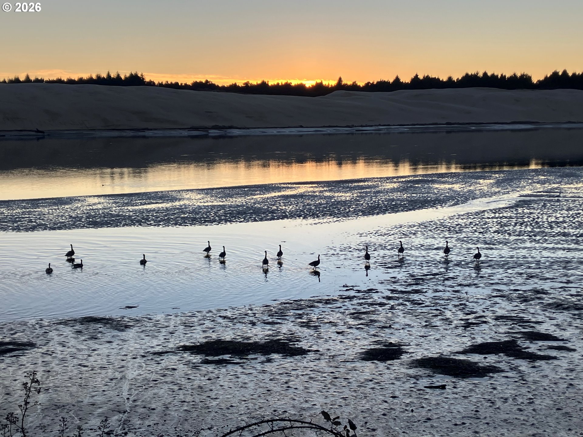 1070 BAY ST 22 UNIT 22, Florence, OR, 97439