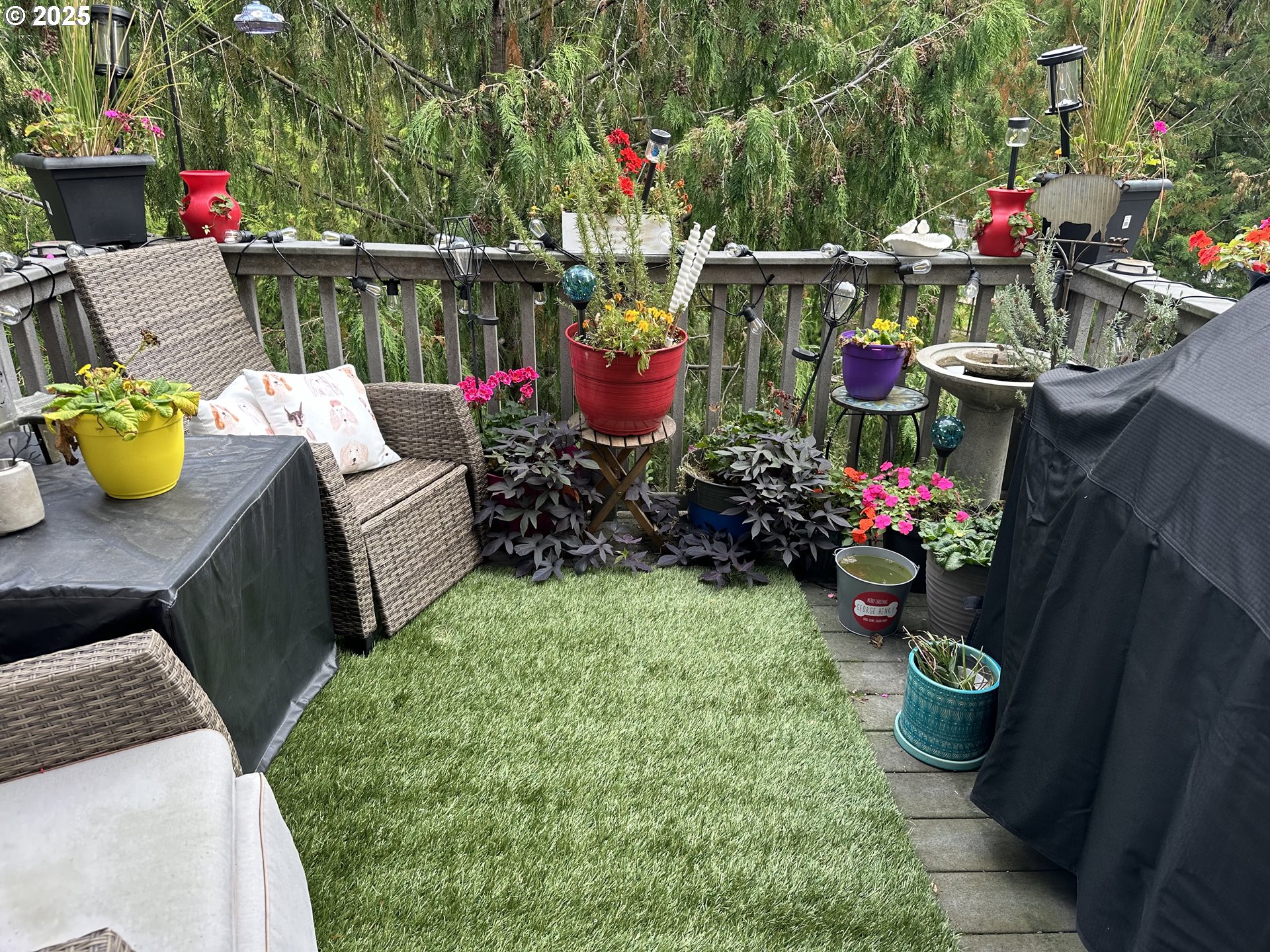 Photo #21: 160396231 Listing: Photo #21