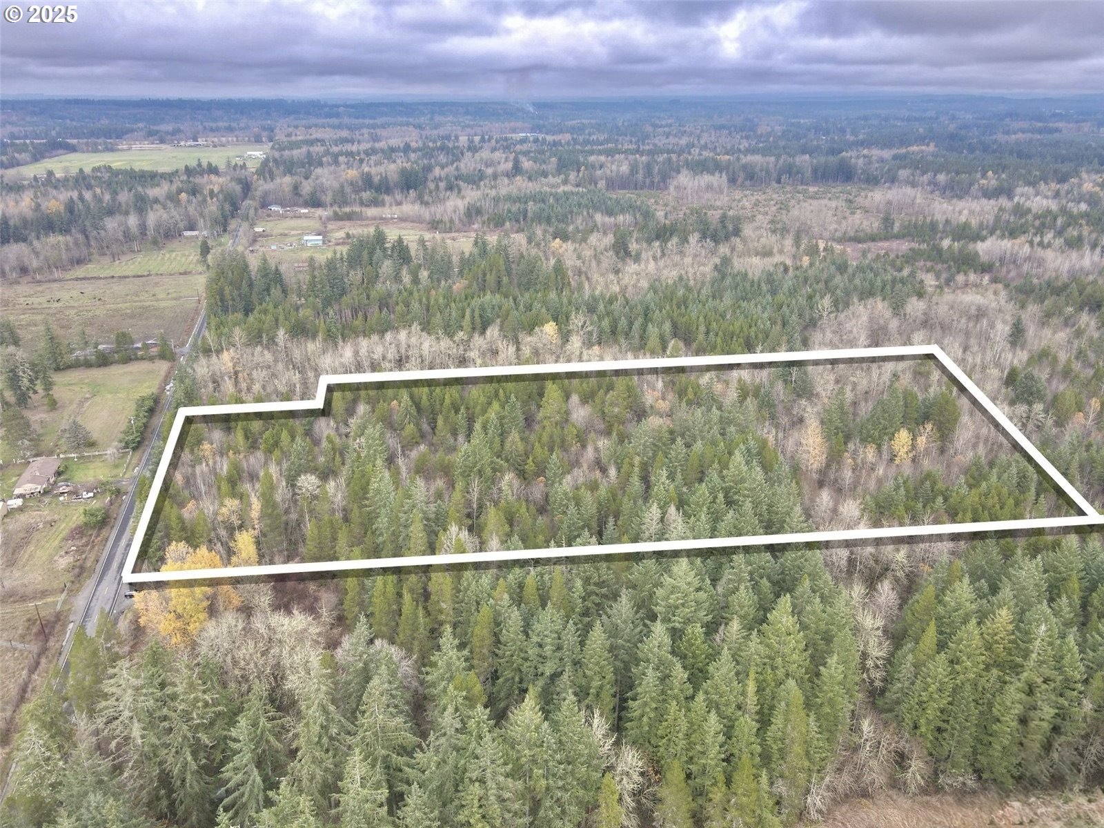 Search Homes for Sale