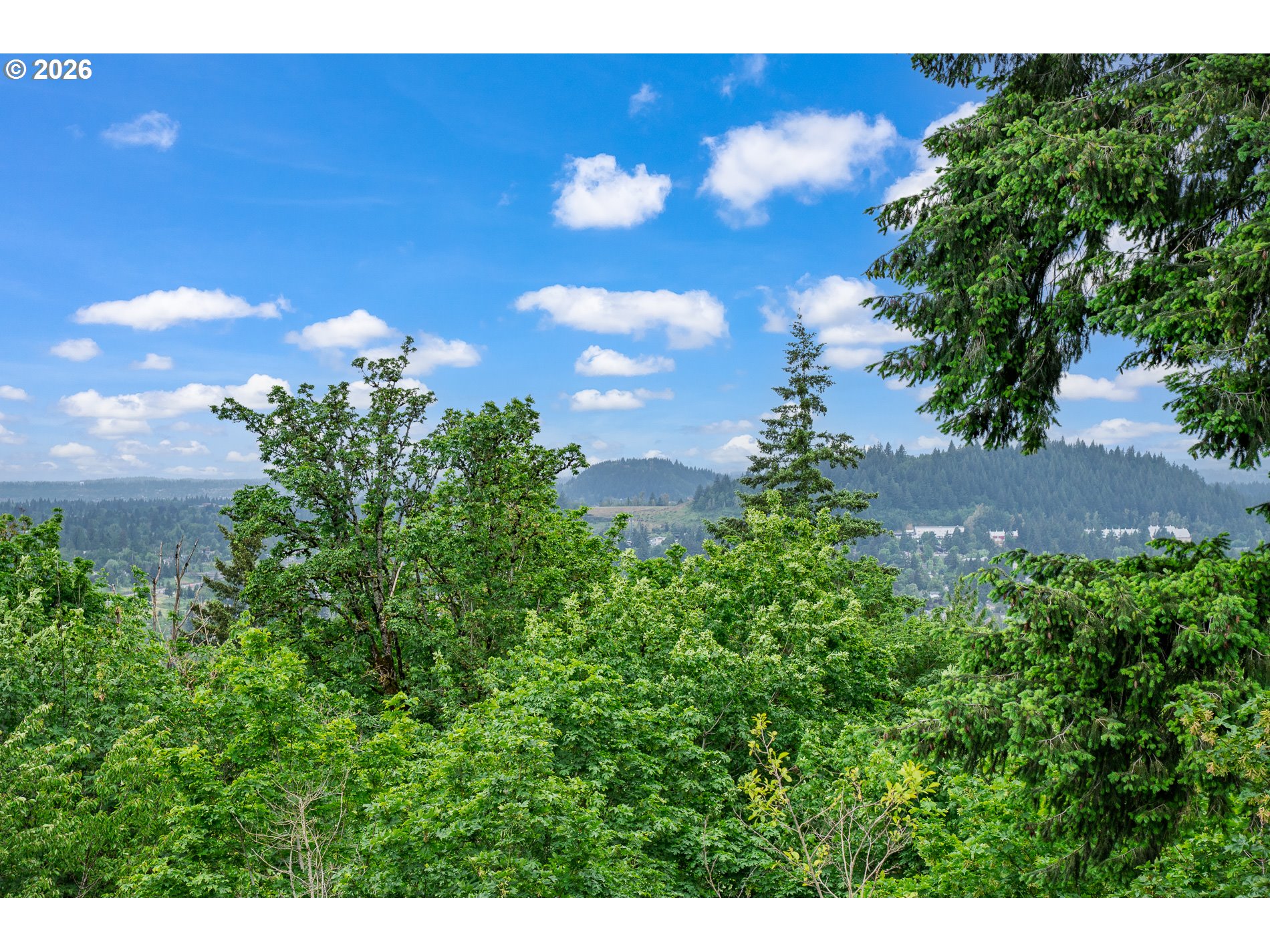 Photo #30: 161921769 Listing: Photo #30