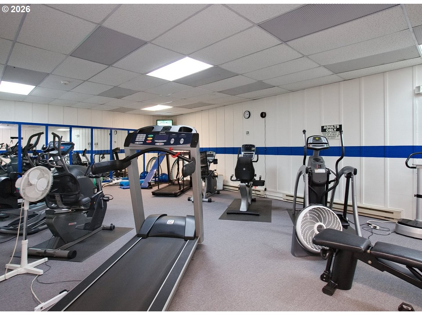 Photo #4: 162650936 Listing: Photo #4