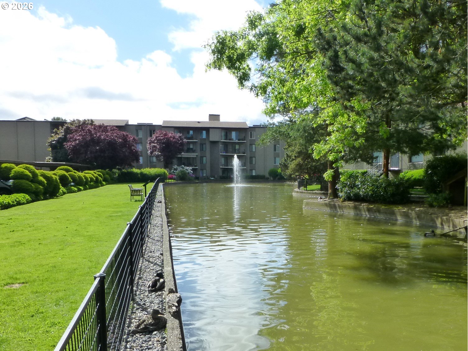 Photo #7: 162650936 Listing: Photo #7