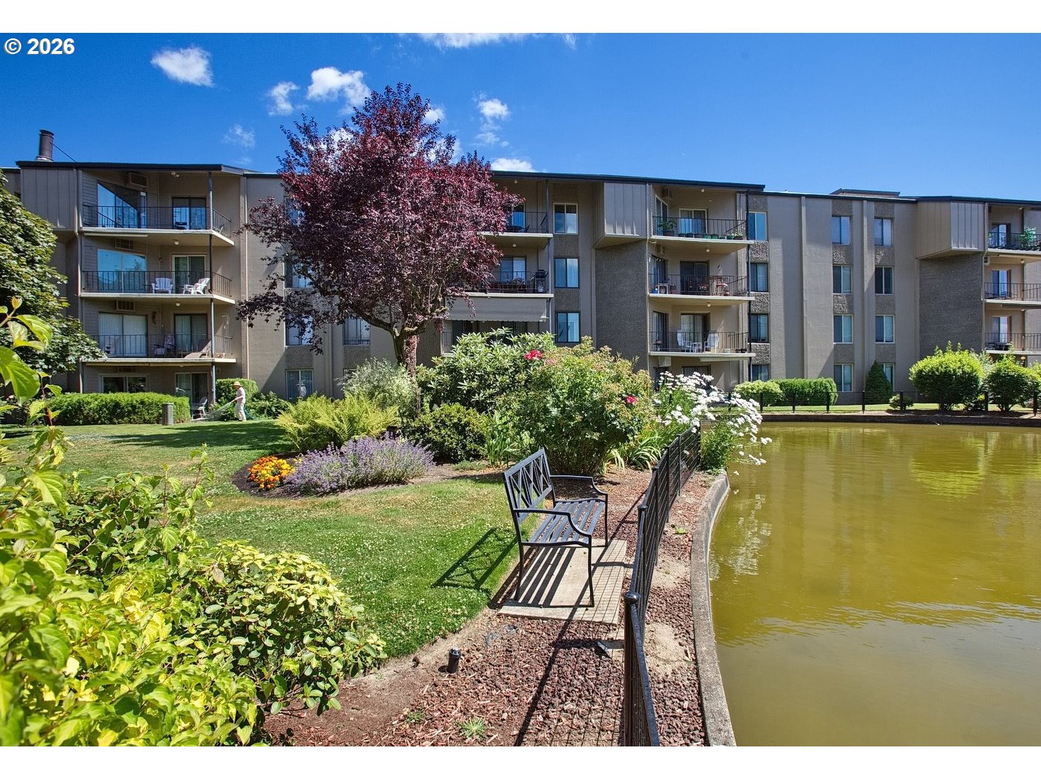 Photo #2: 162650936 Listing: Photo #2