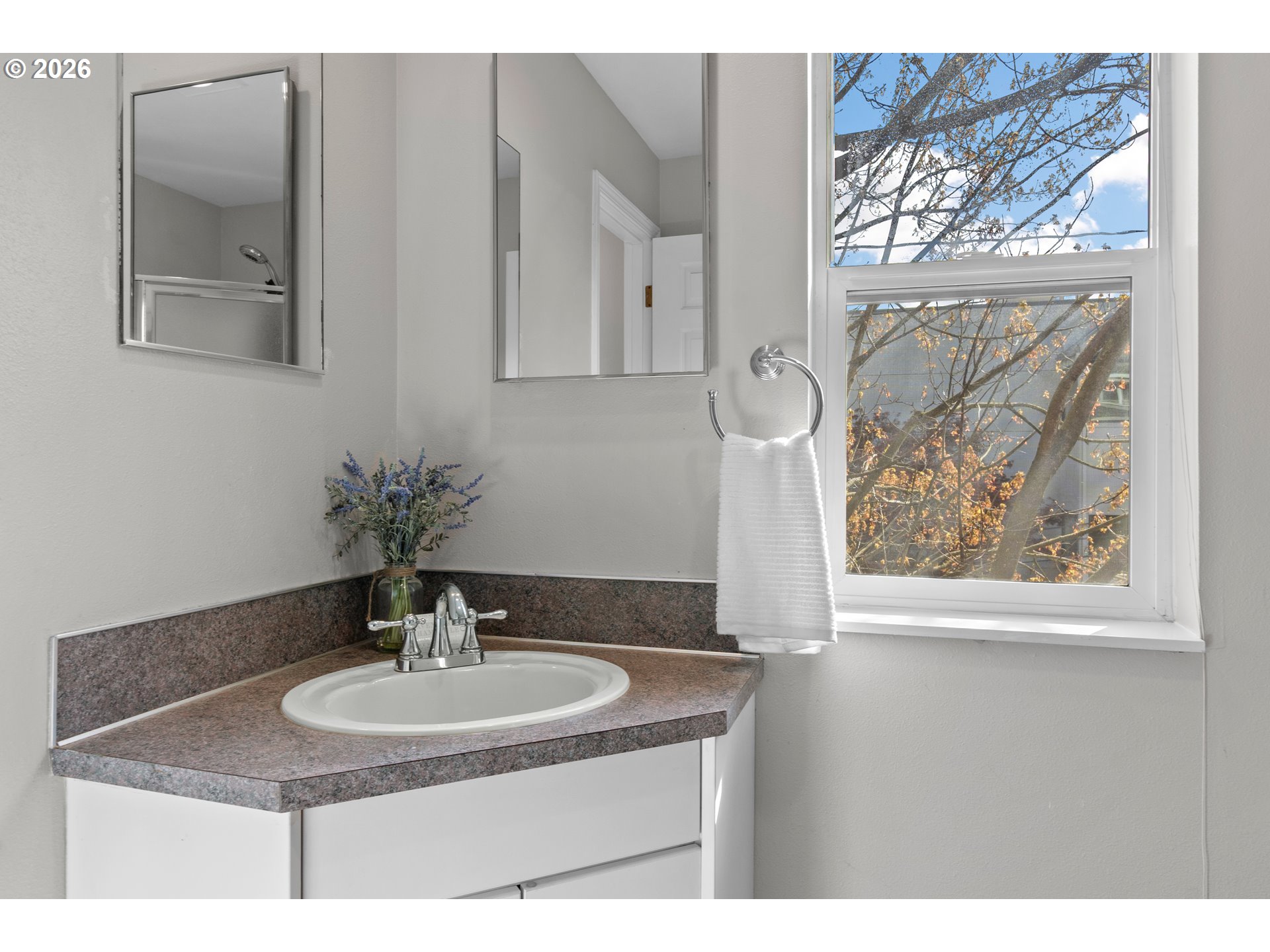 Photo #29: 165689541 Listing: Photo #29