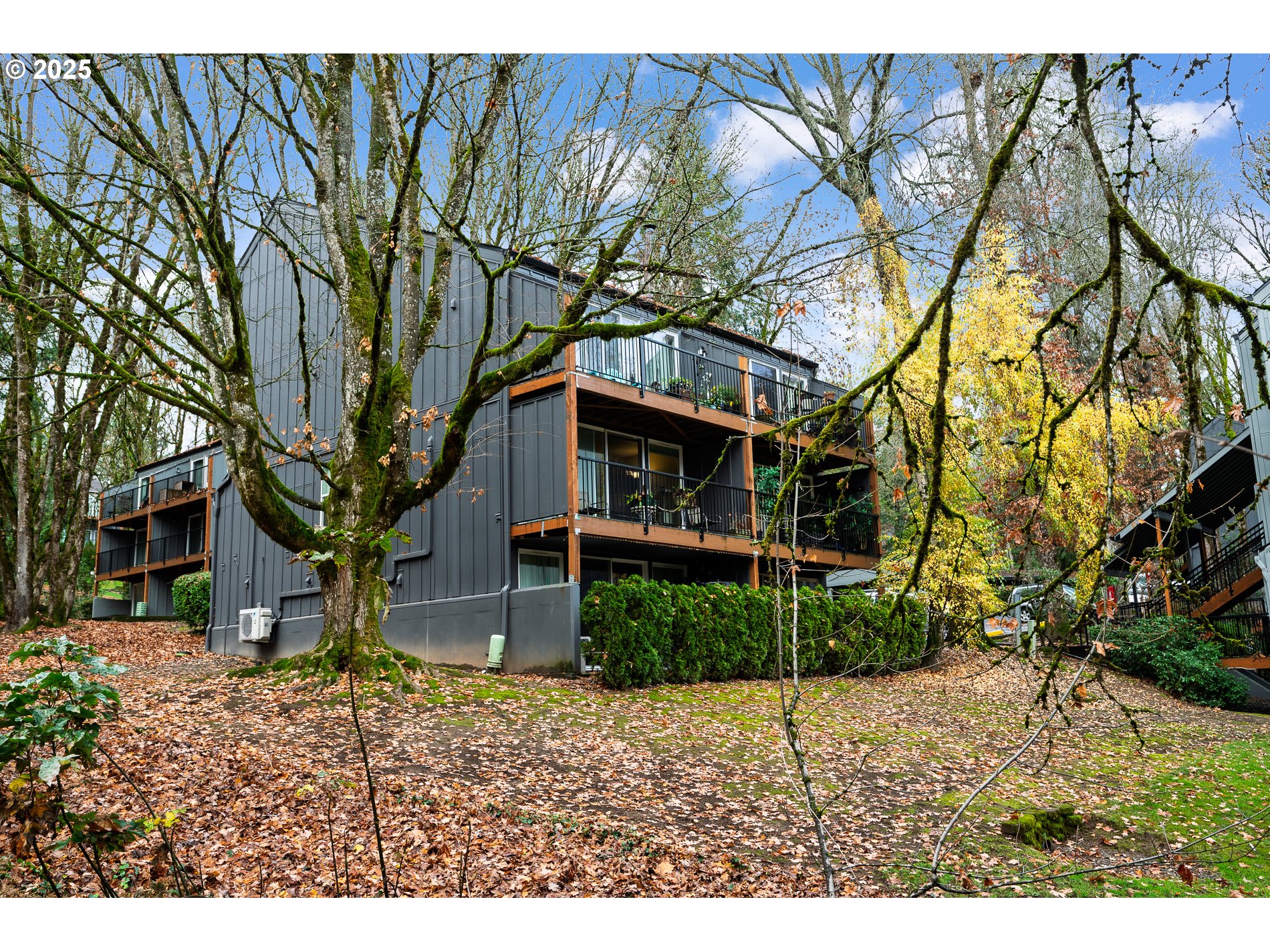 Photo #27: 166567292 Listing: Photo #27