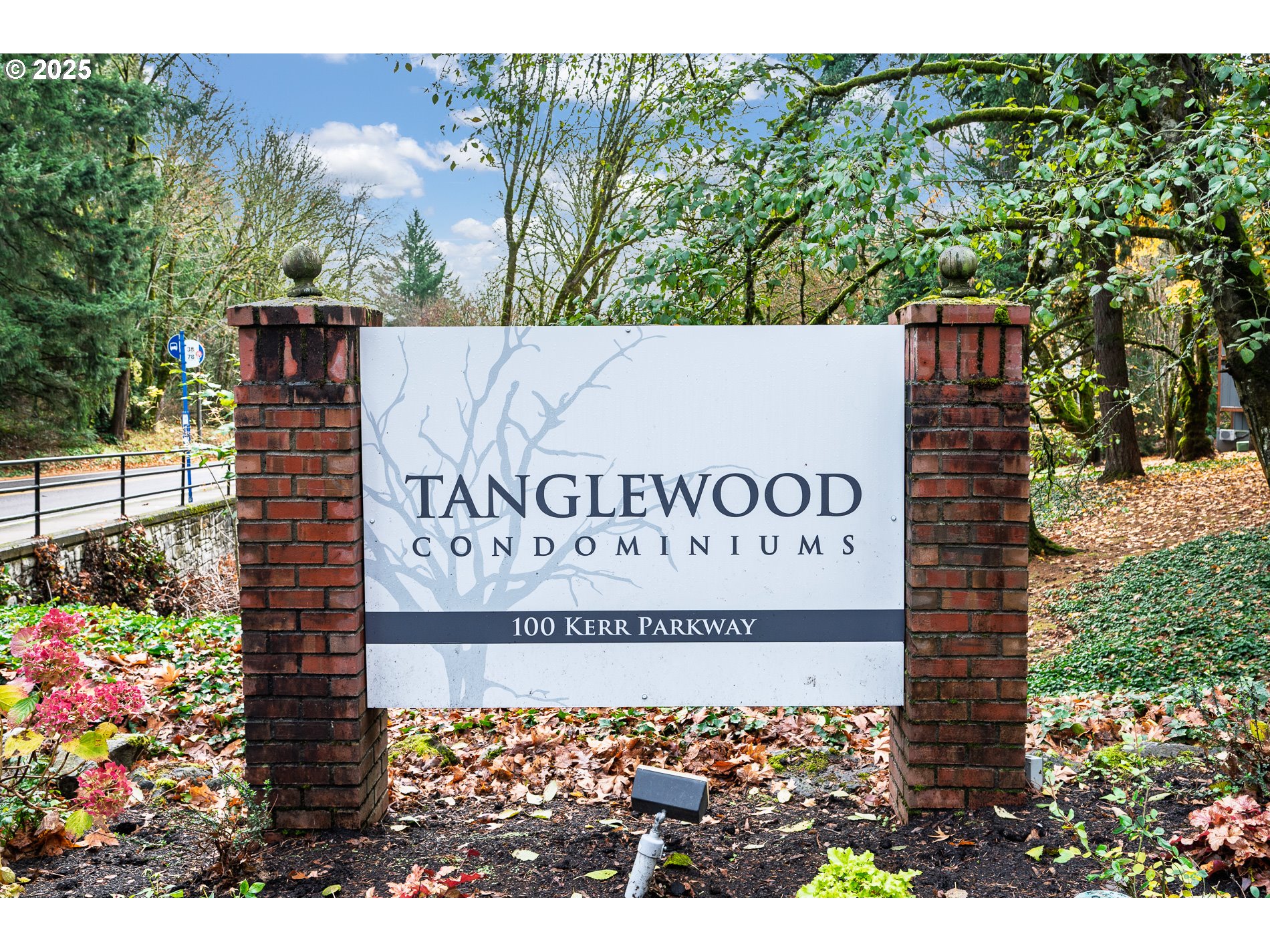 Photo #1: 166567292 Listing: Photo #1