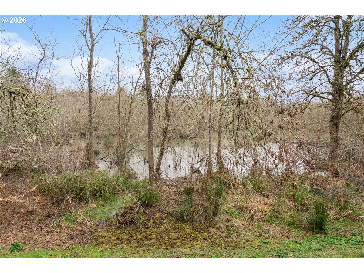 Photo #28: 167447135 Listing: Photo #28