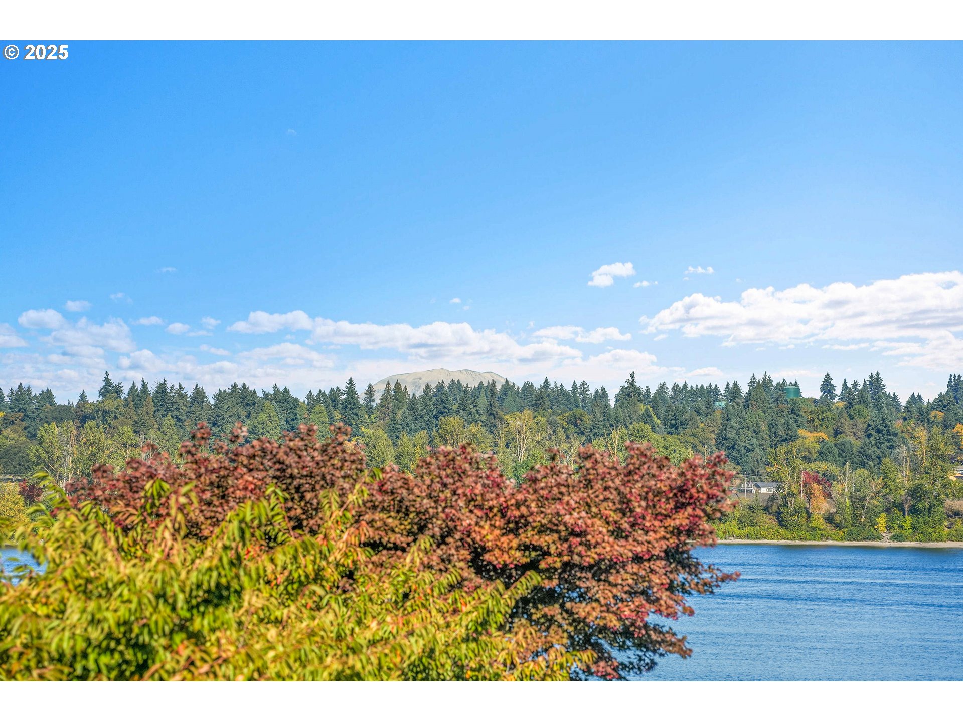 Photo #24: 169325279 Listing: Photo #24