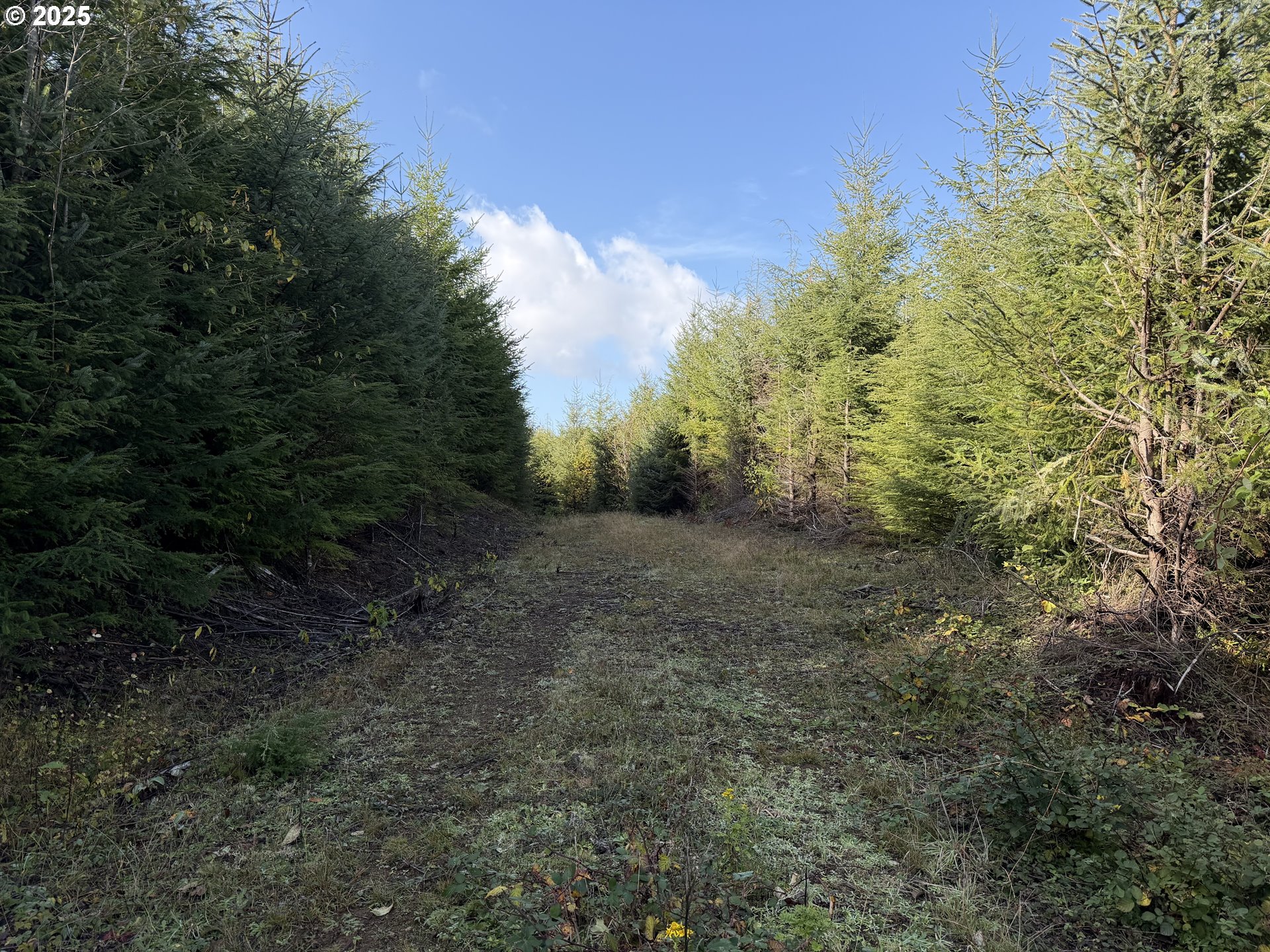 106 E Bishop Way Next To, Brownsville, OR, 97327