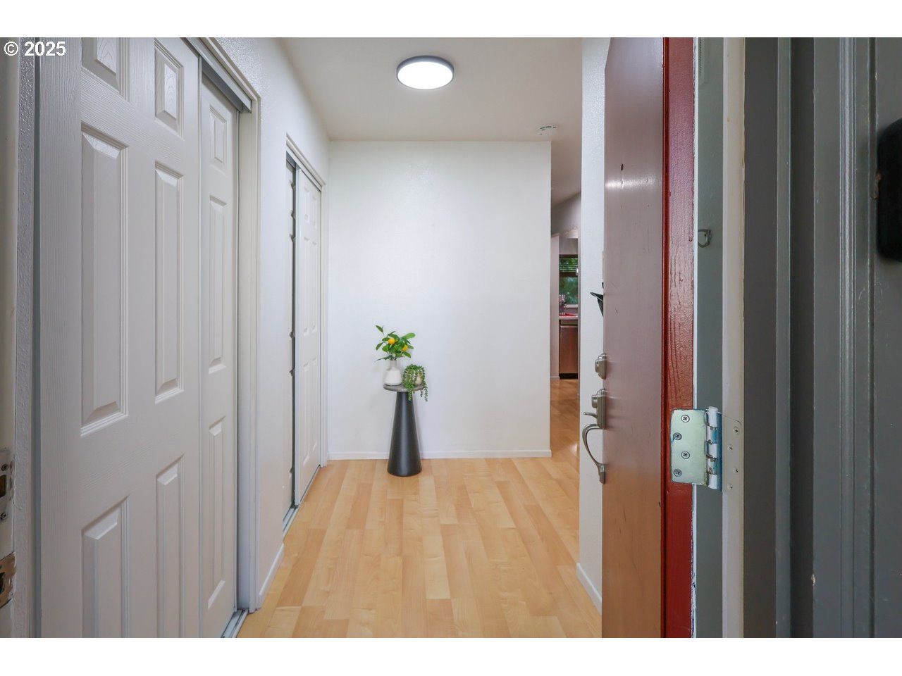 Photo #17: 172000166 Listing: Photo #17