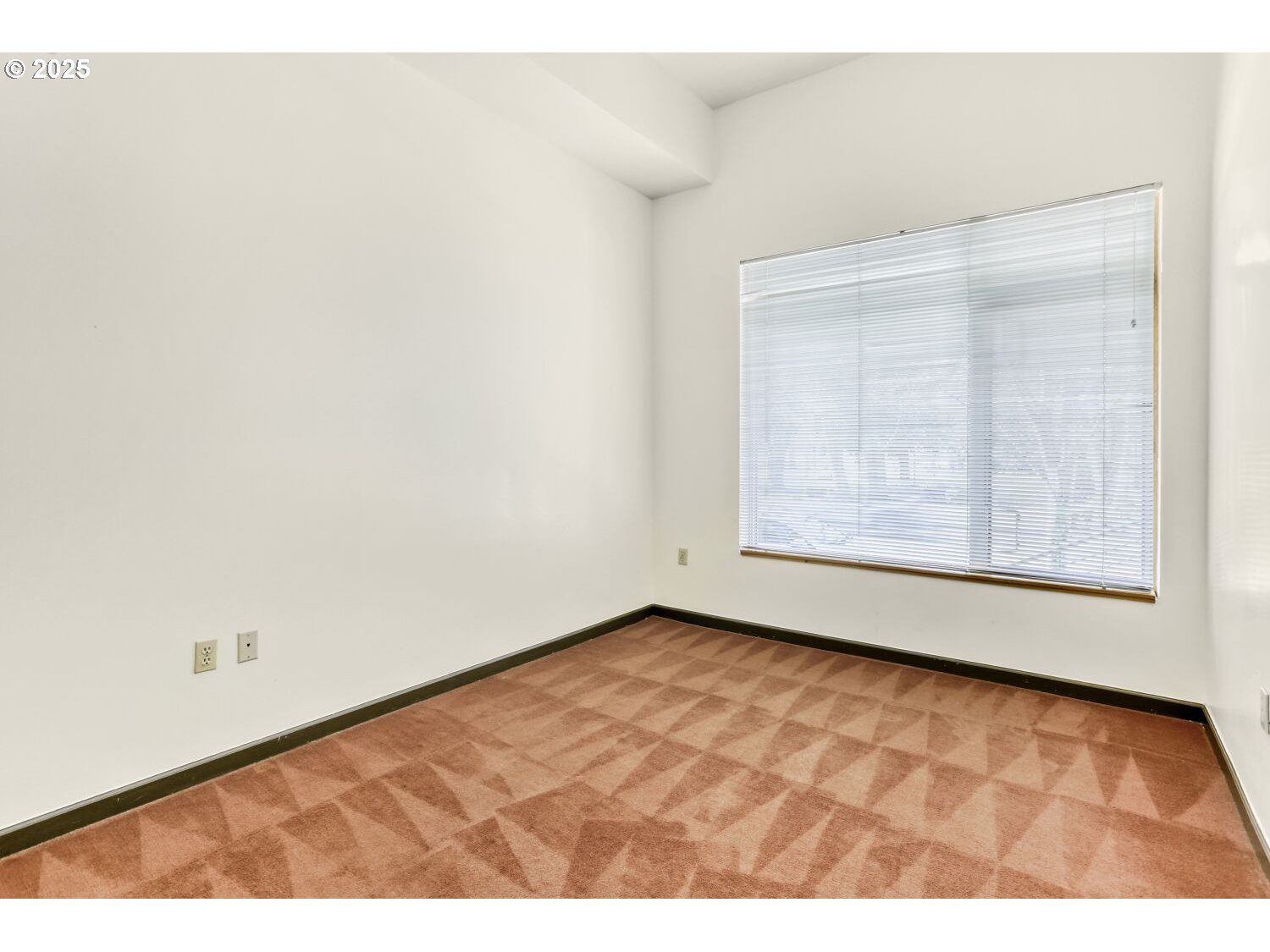 Photo #11: 172130230 Listing: Photo #11