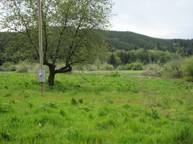 IDX Image